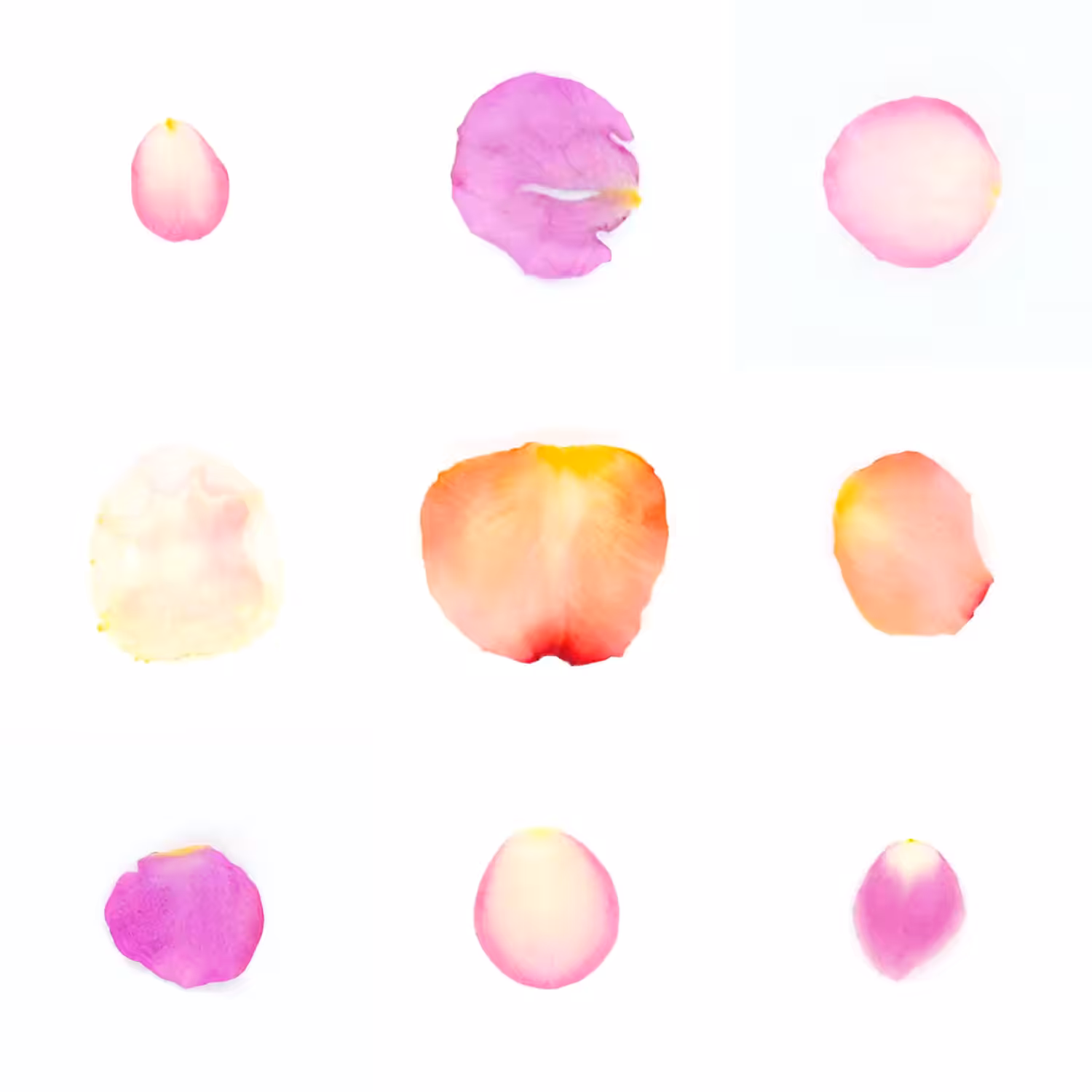 Infinite Petals 3x3#3292