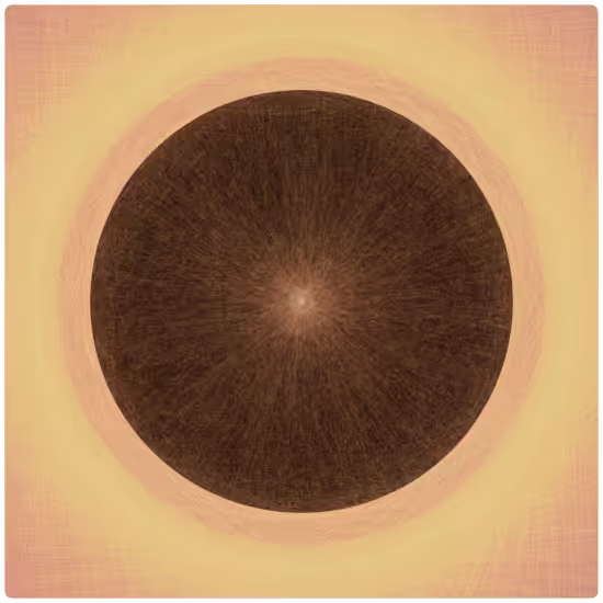 Sun #23