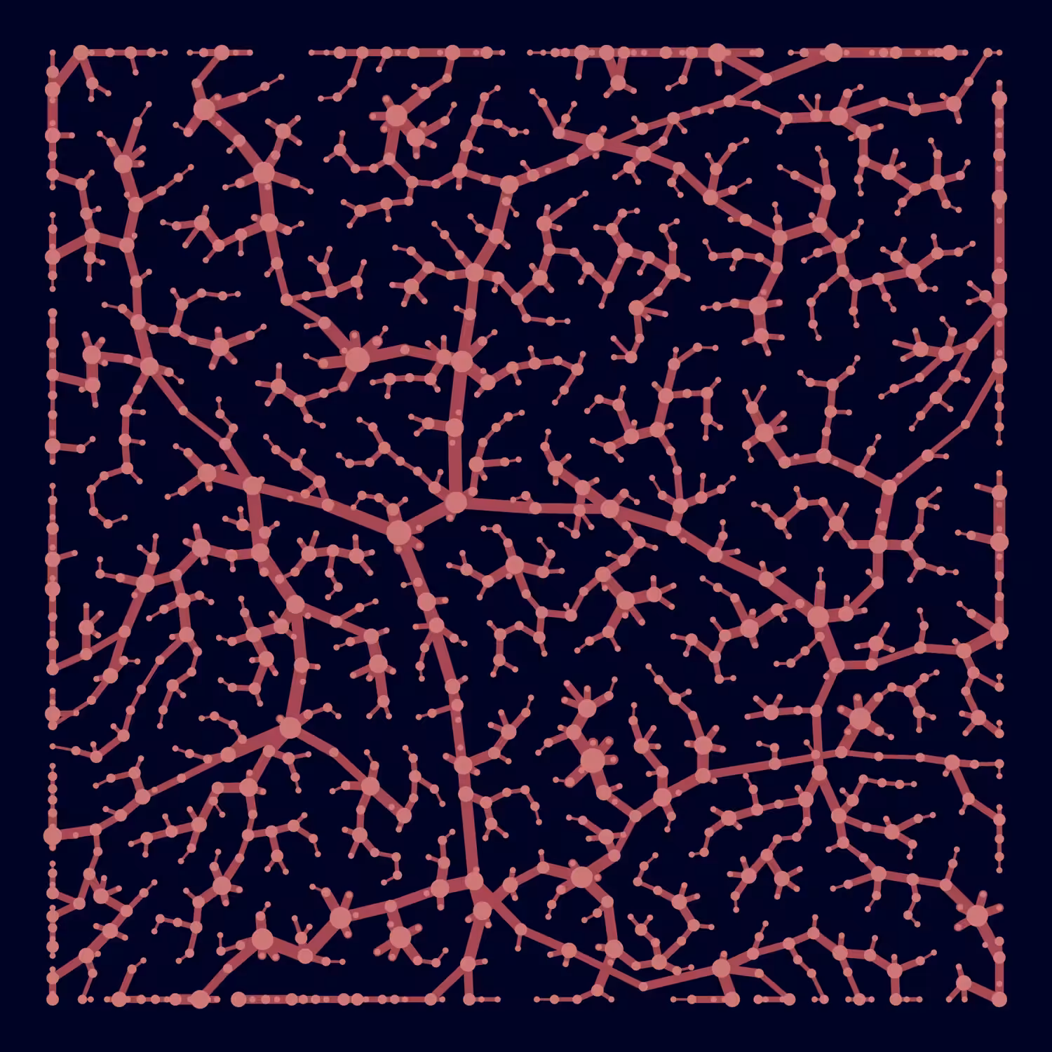 Coral Creature