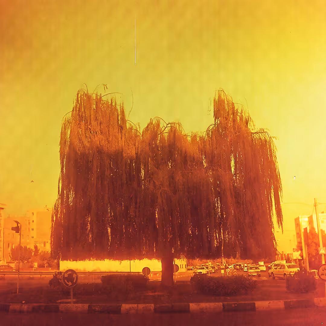 1988 - Yellow series -#3