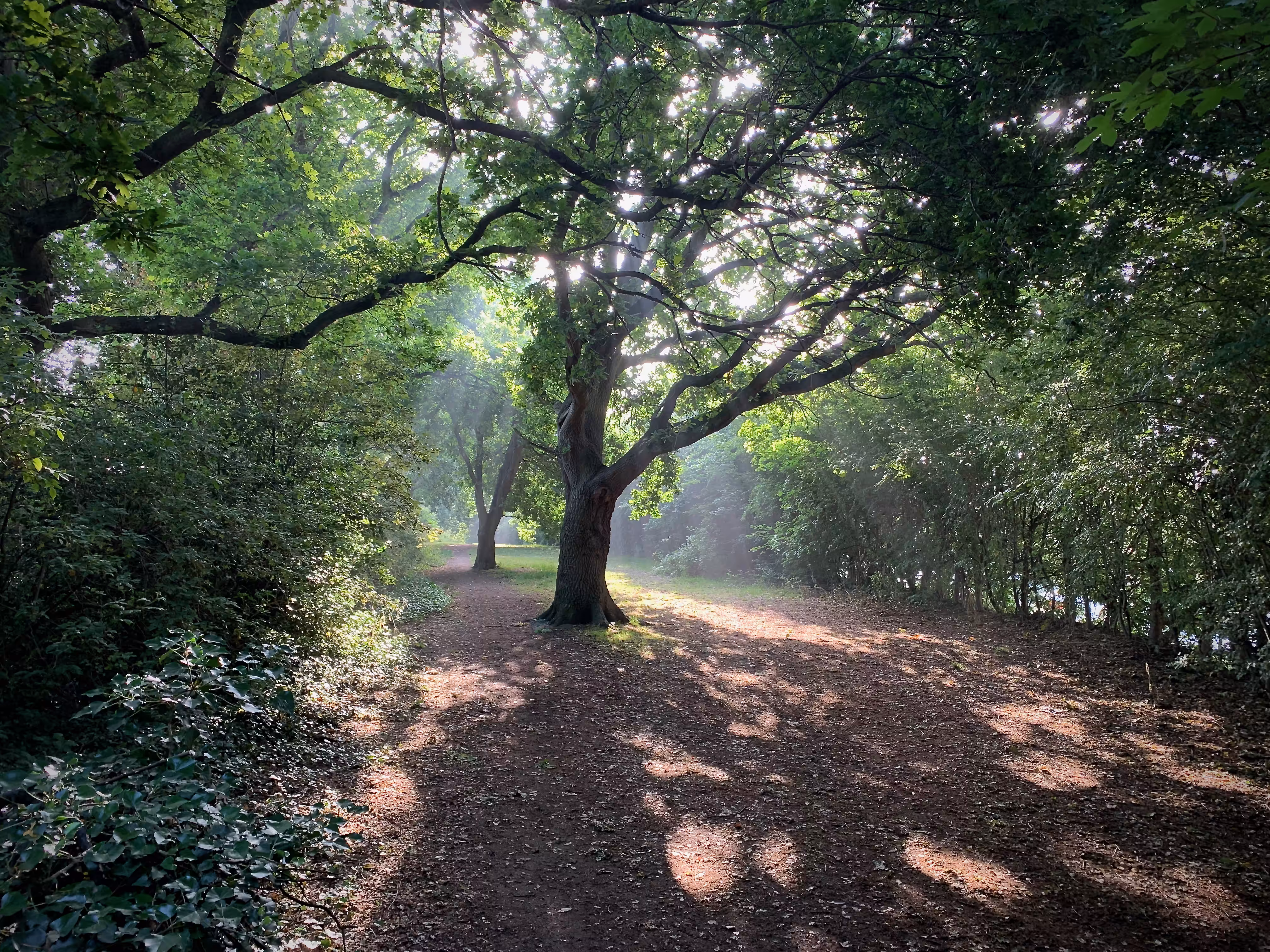 Moody morning