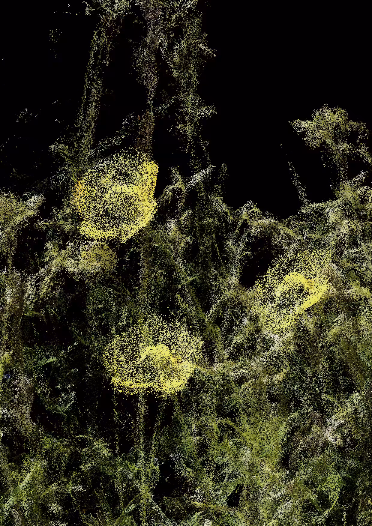 Overgrowth 0339