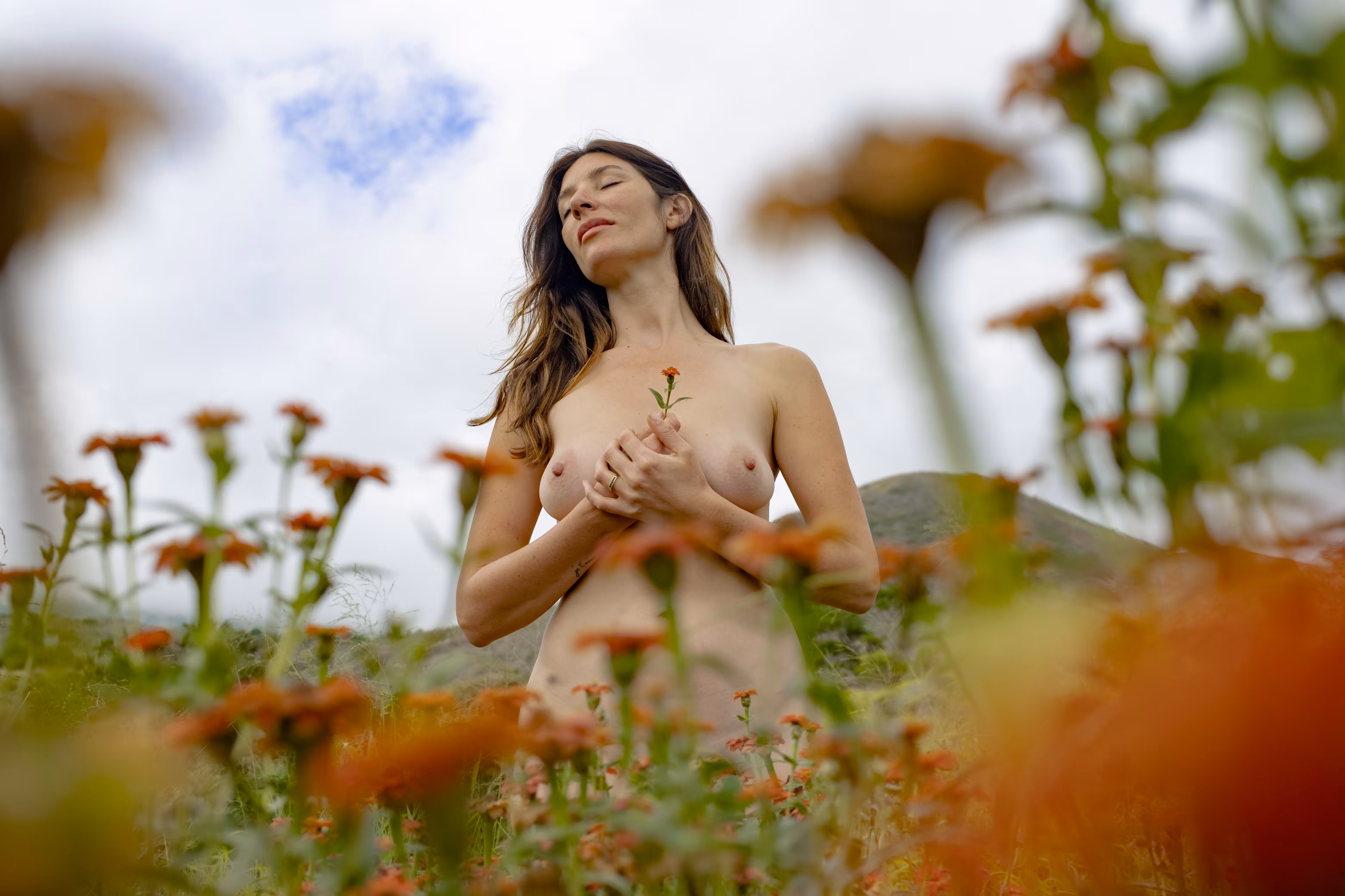 Field of Orange Flowers