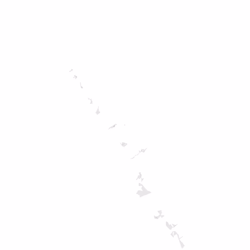 brownian burrows #7