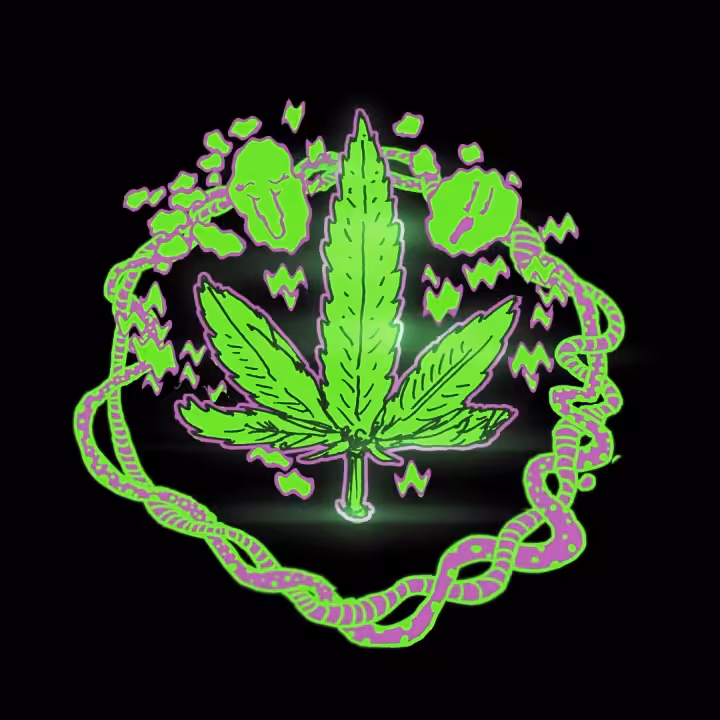holly leaf