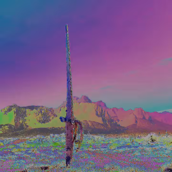 dfwml