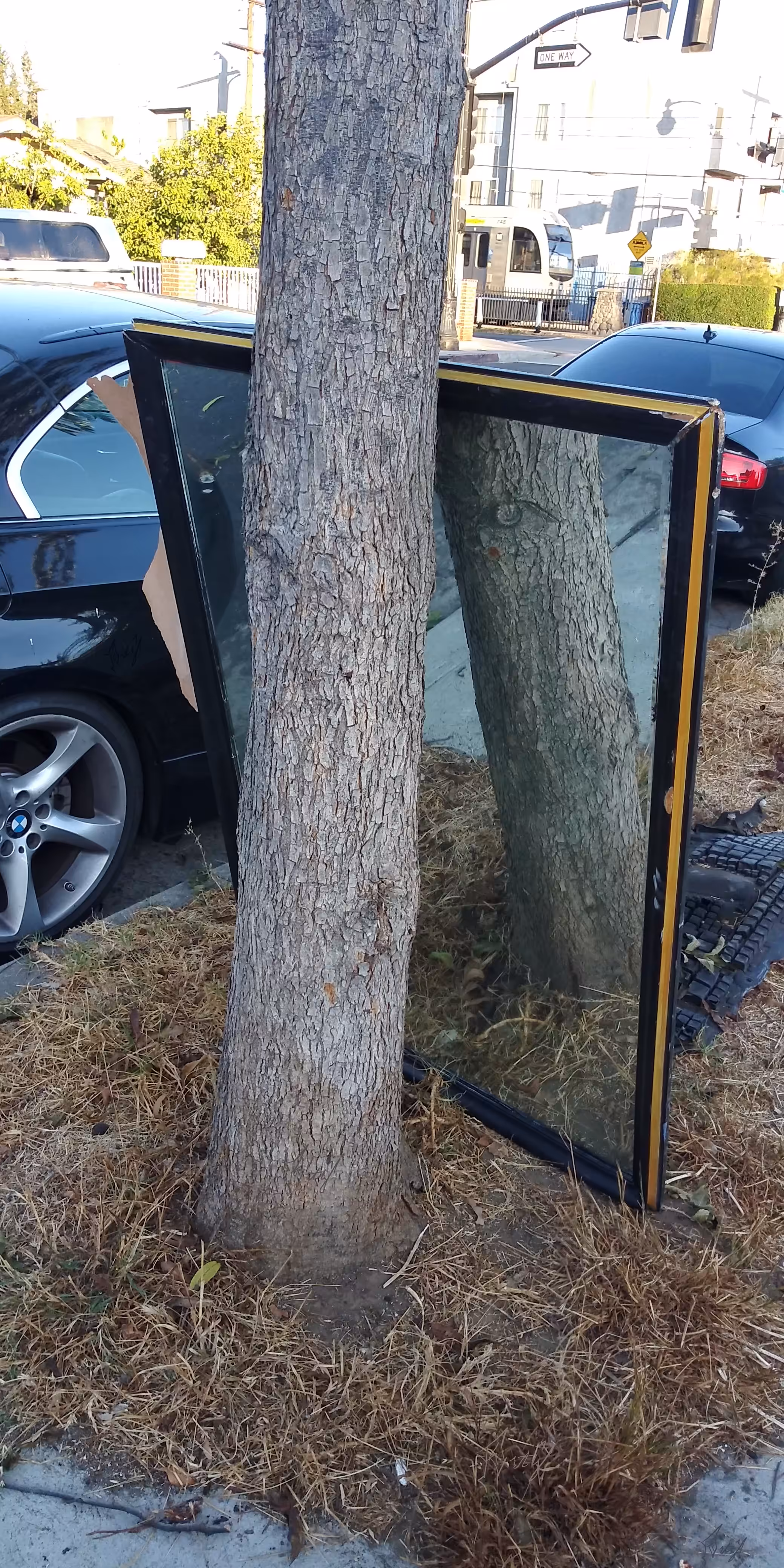 The Looking Glass