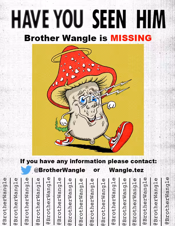 Missing Wangle 4