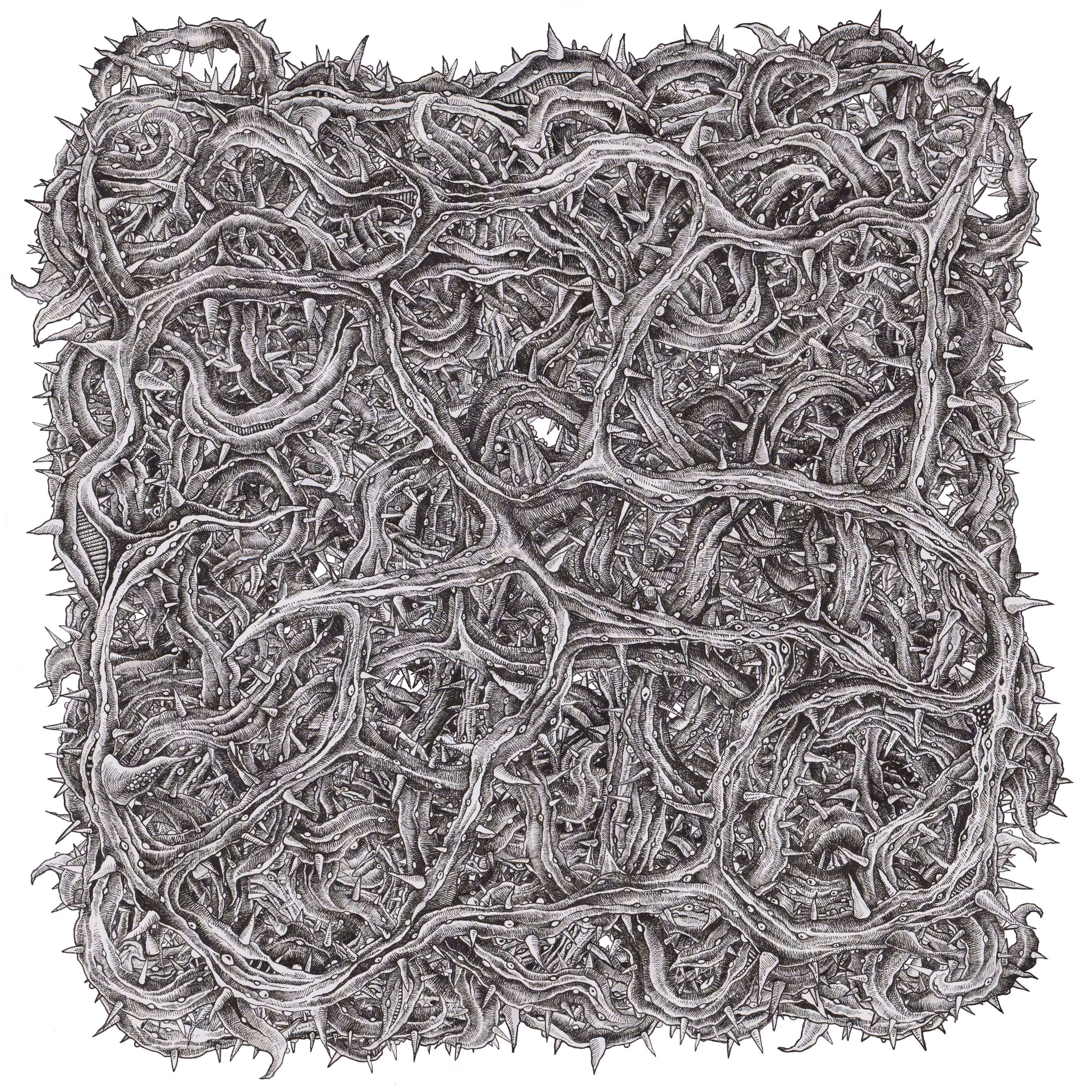 A Roots