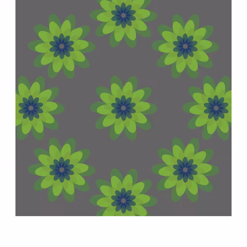 bloom unexpected #6