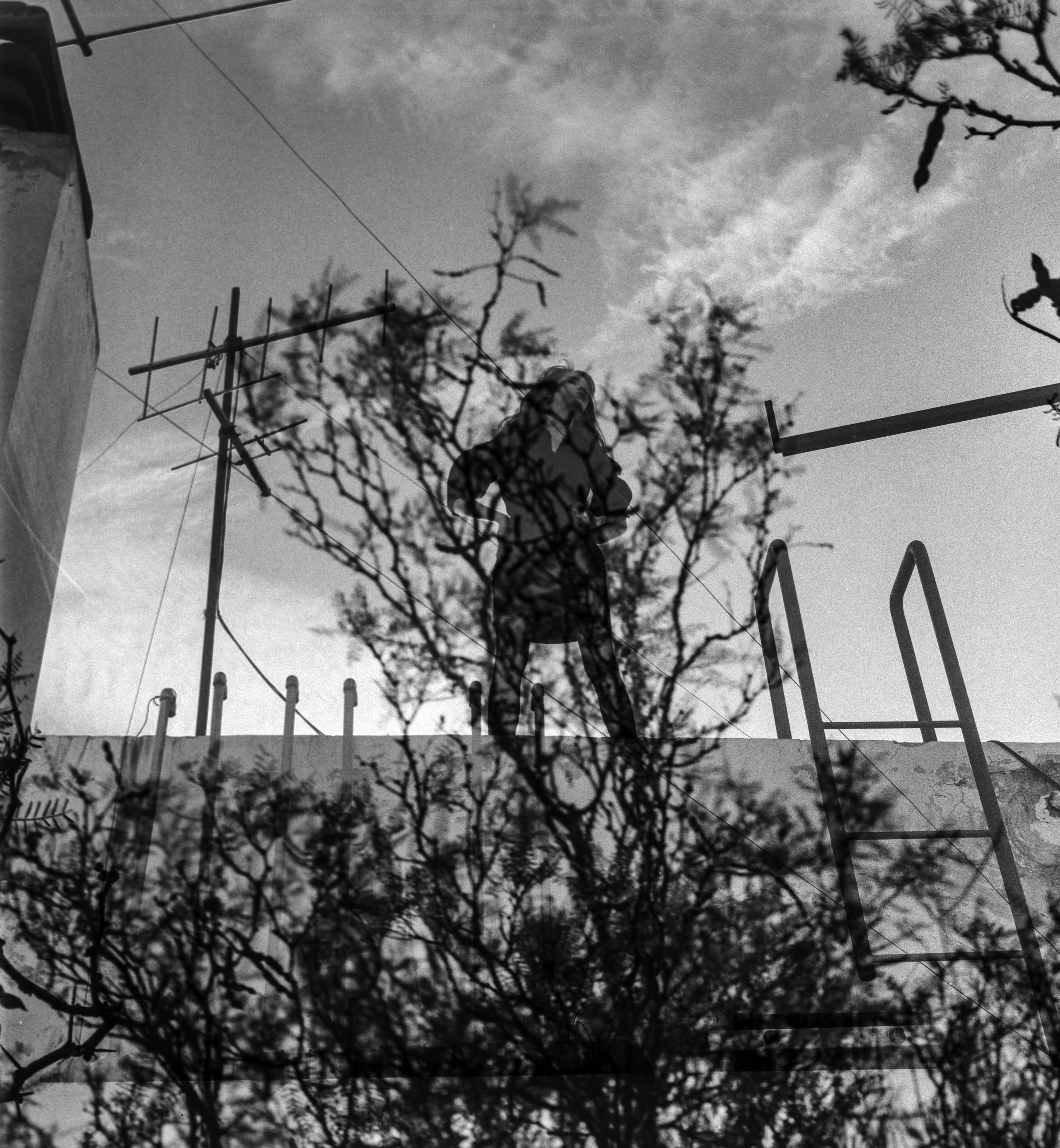 Rhizome //02