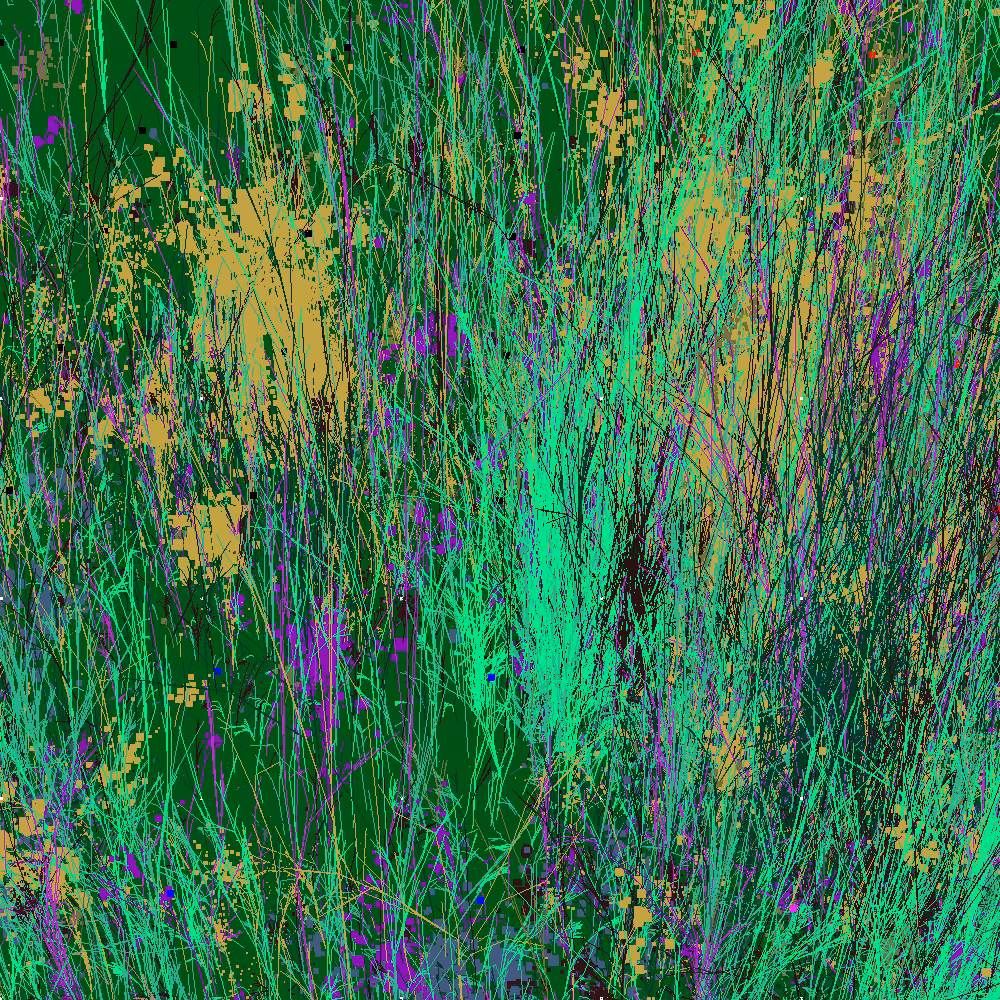 Infinite Garden: 90503 Flowers