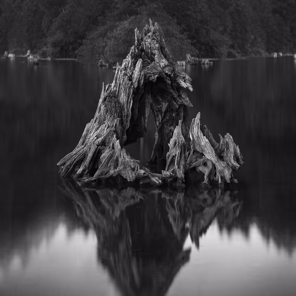 Vestige - Rattlesnake Lake, WA