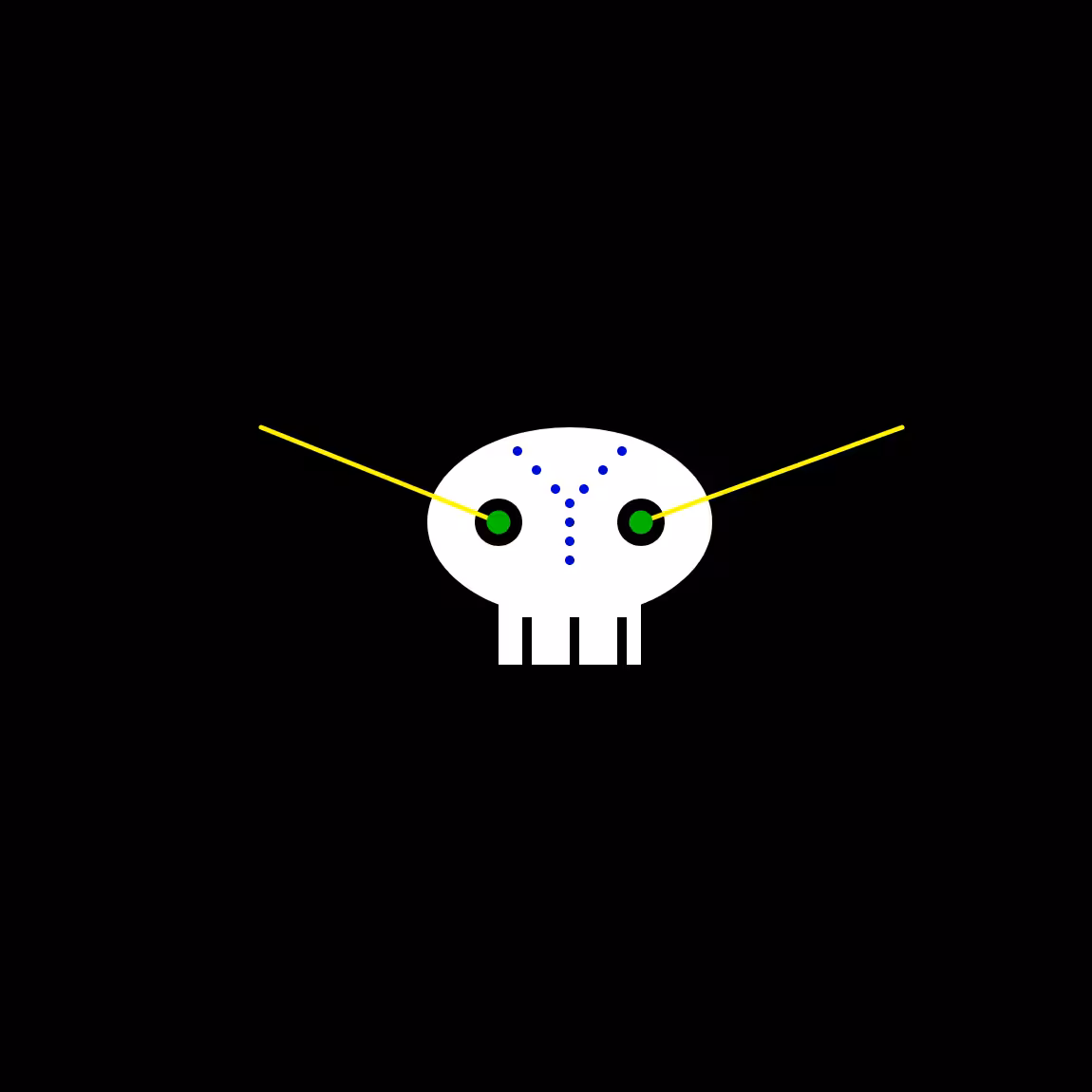 Skull's day - First edition #4