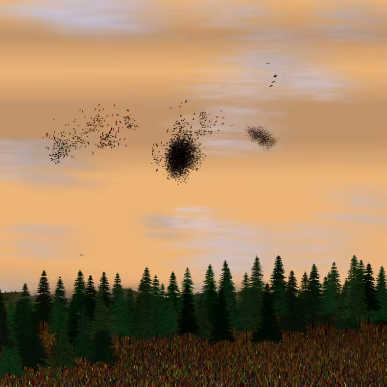 Starlings #35