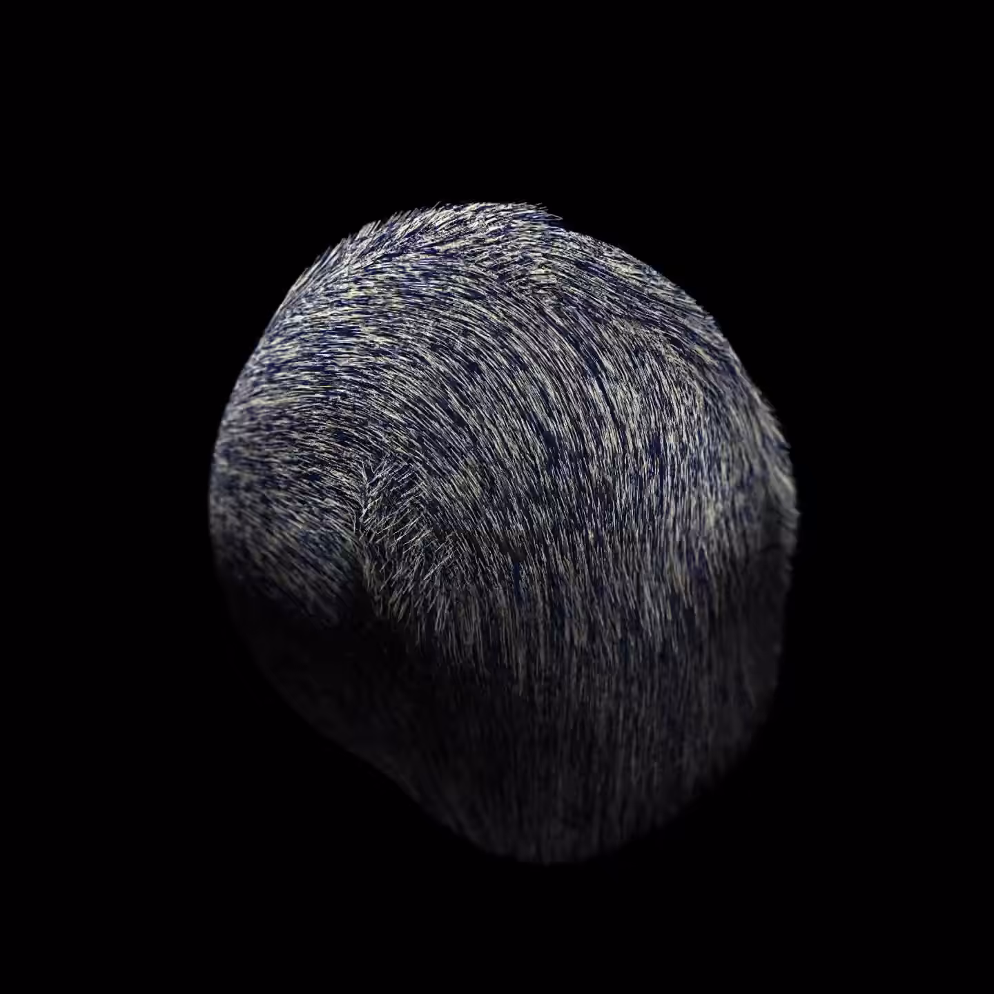 Wad