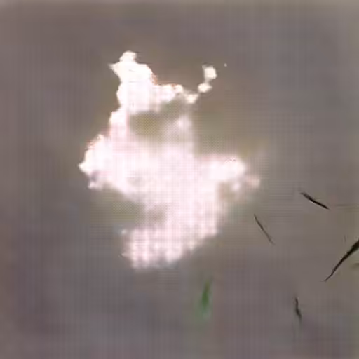 Learning Nature (b40,2968,5)