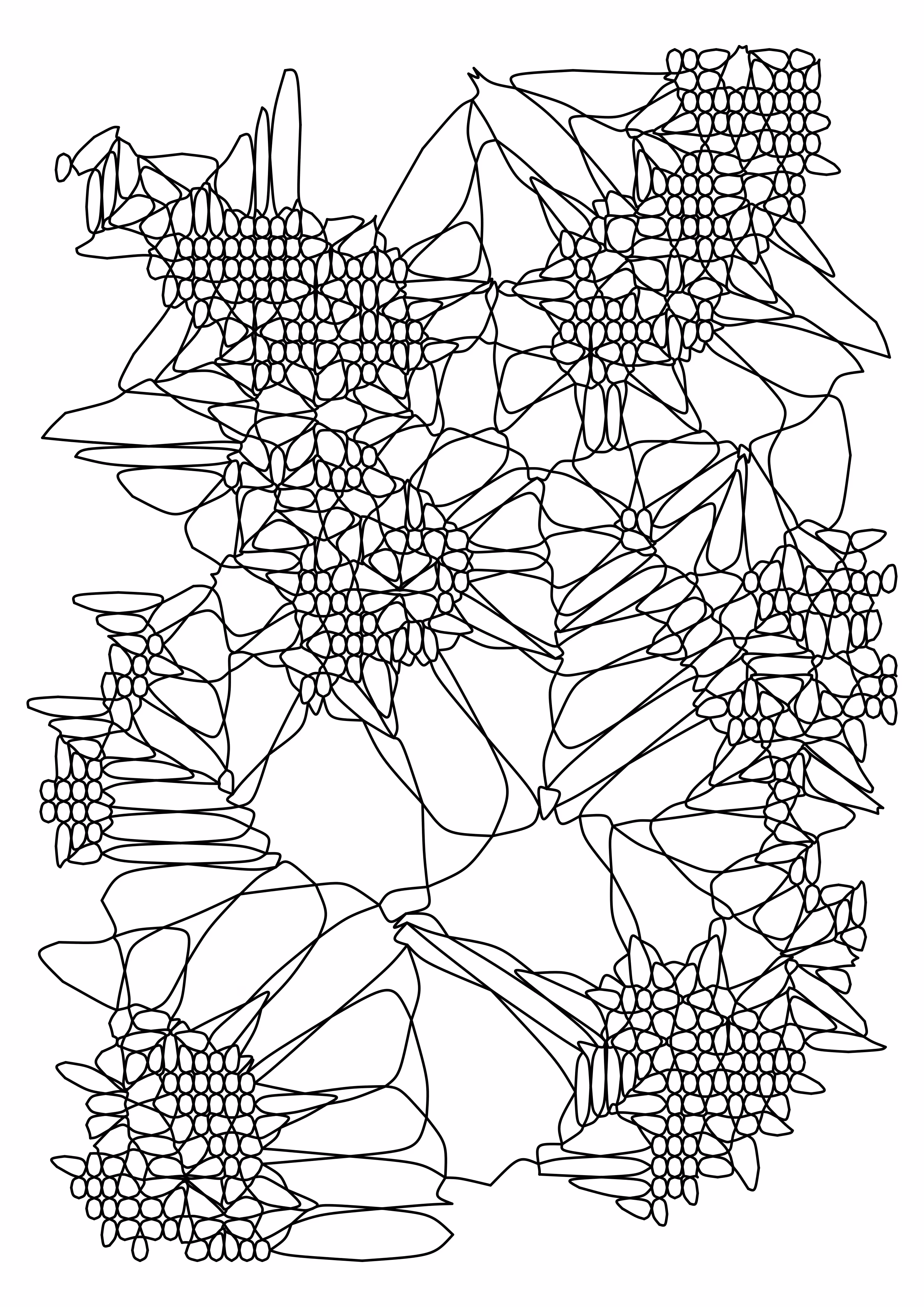 Cells