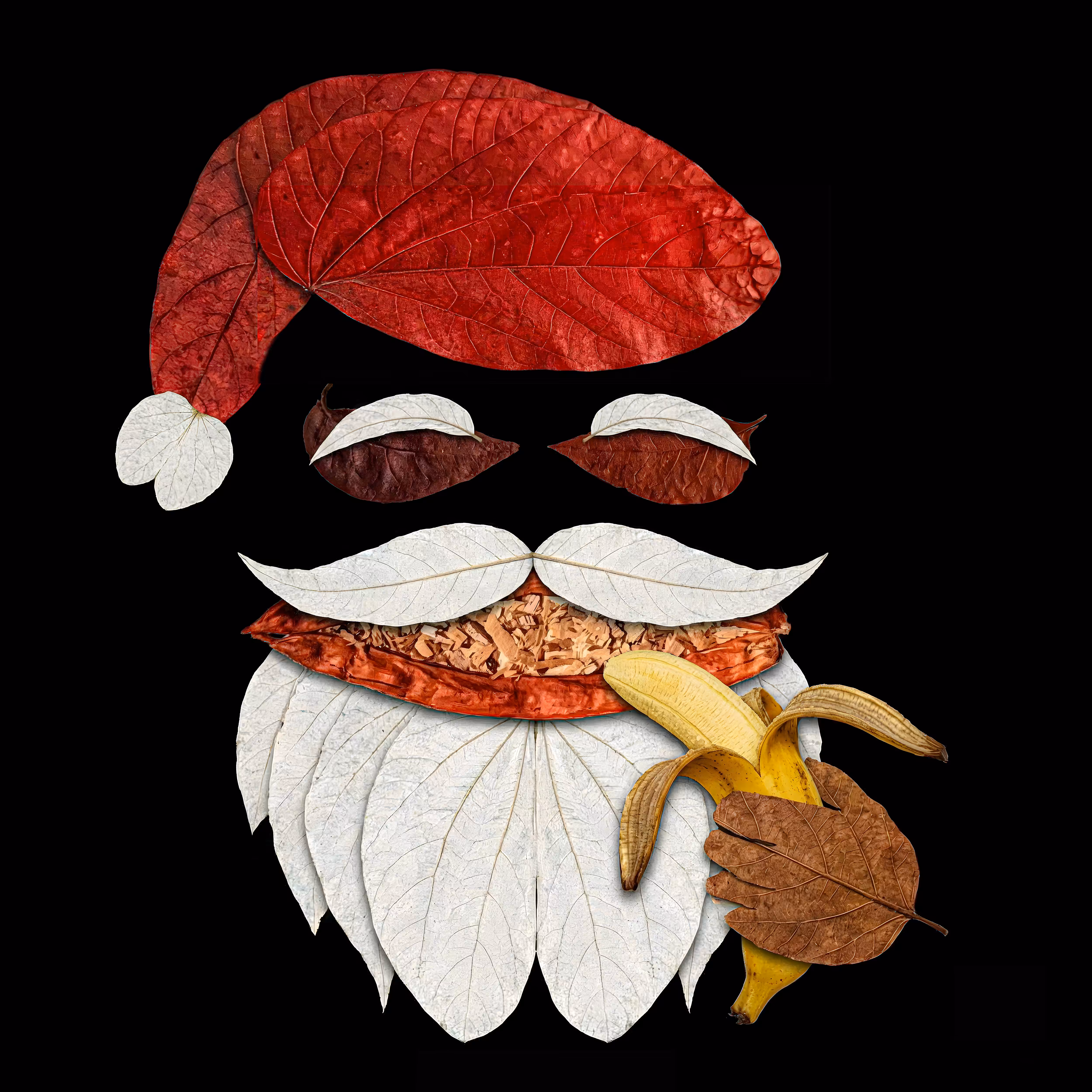 Santa smiles  simple delight