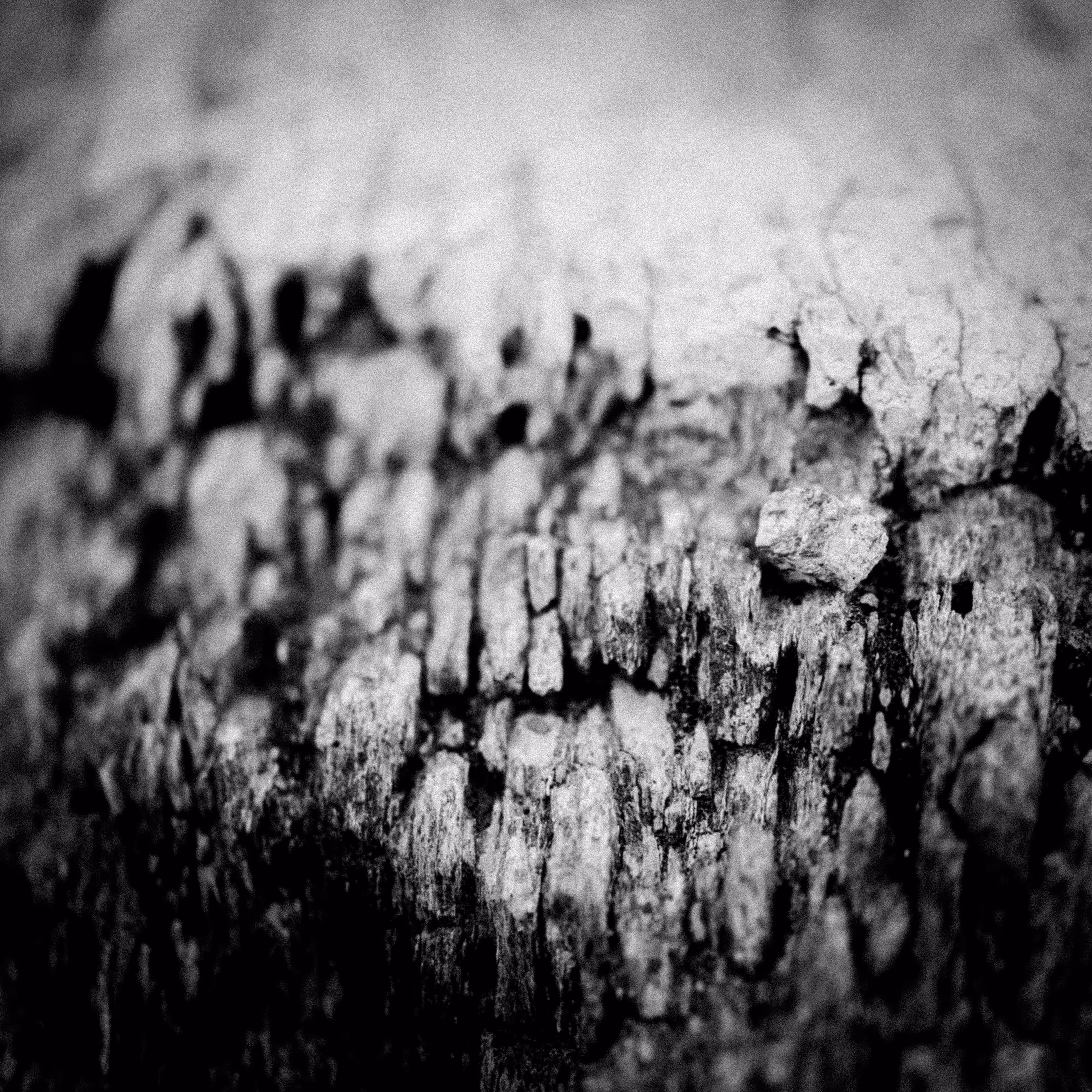 convergence 05