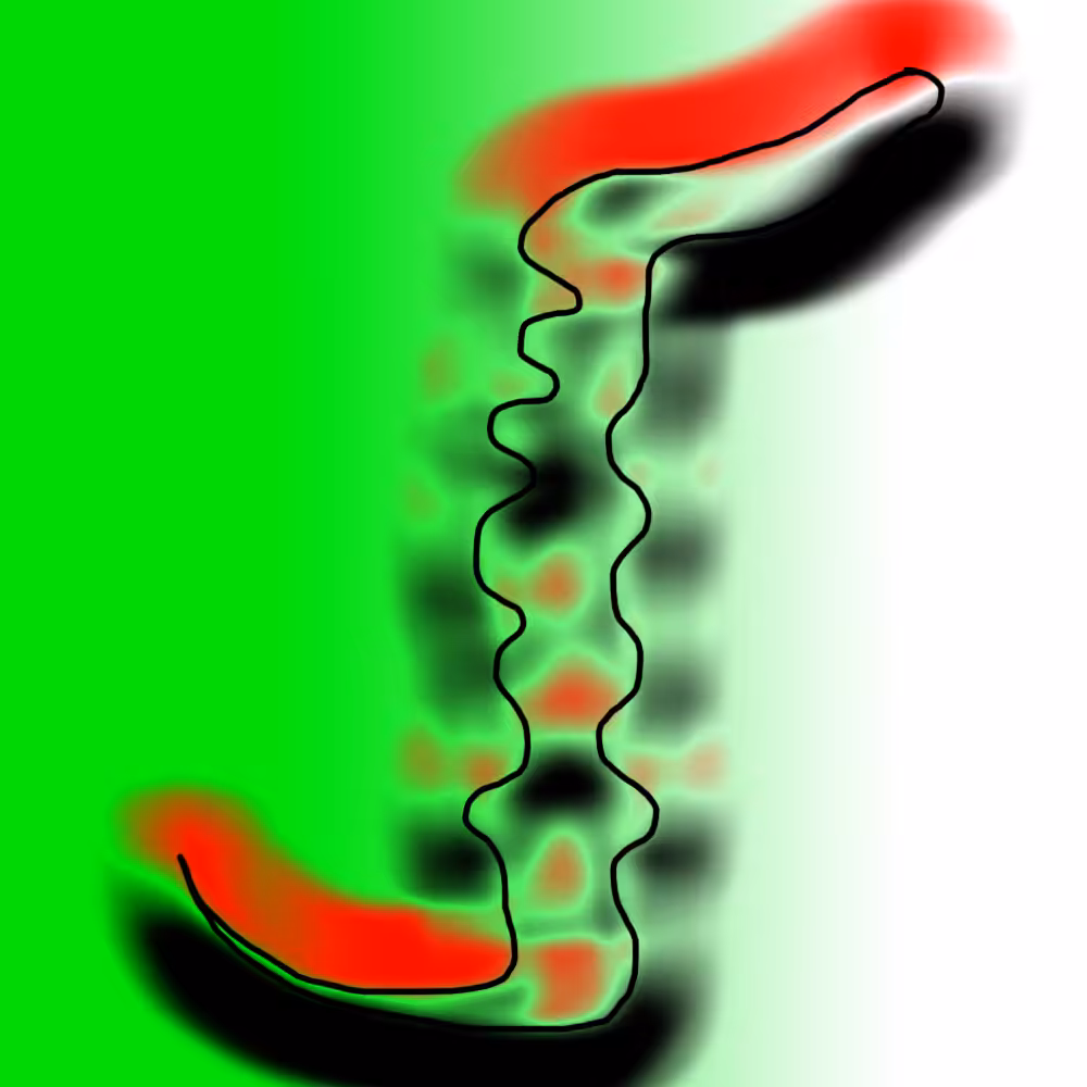bacteria 3