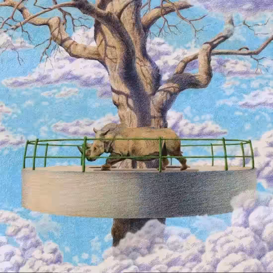 Restless Rhino