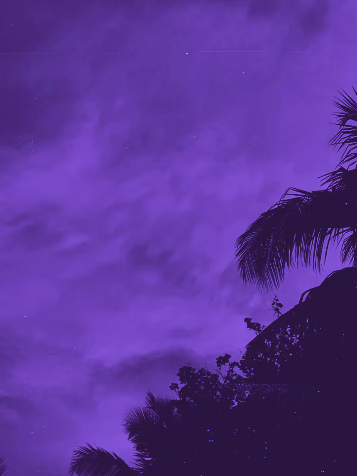 Purplexed