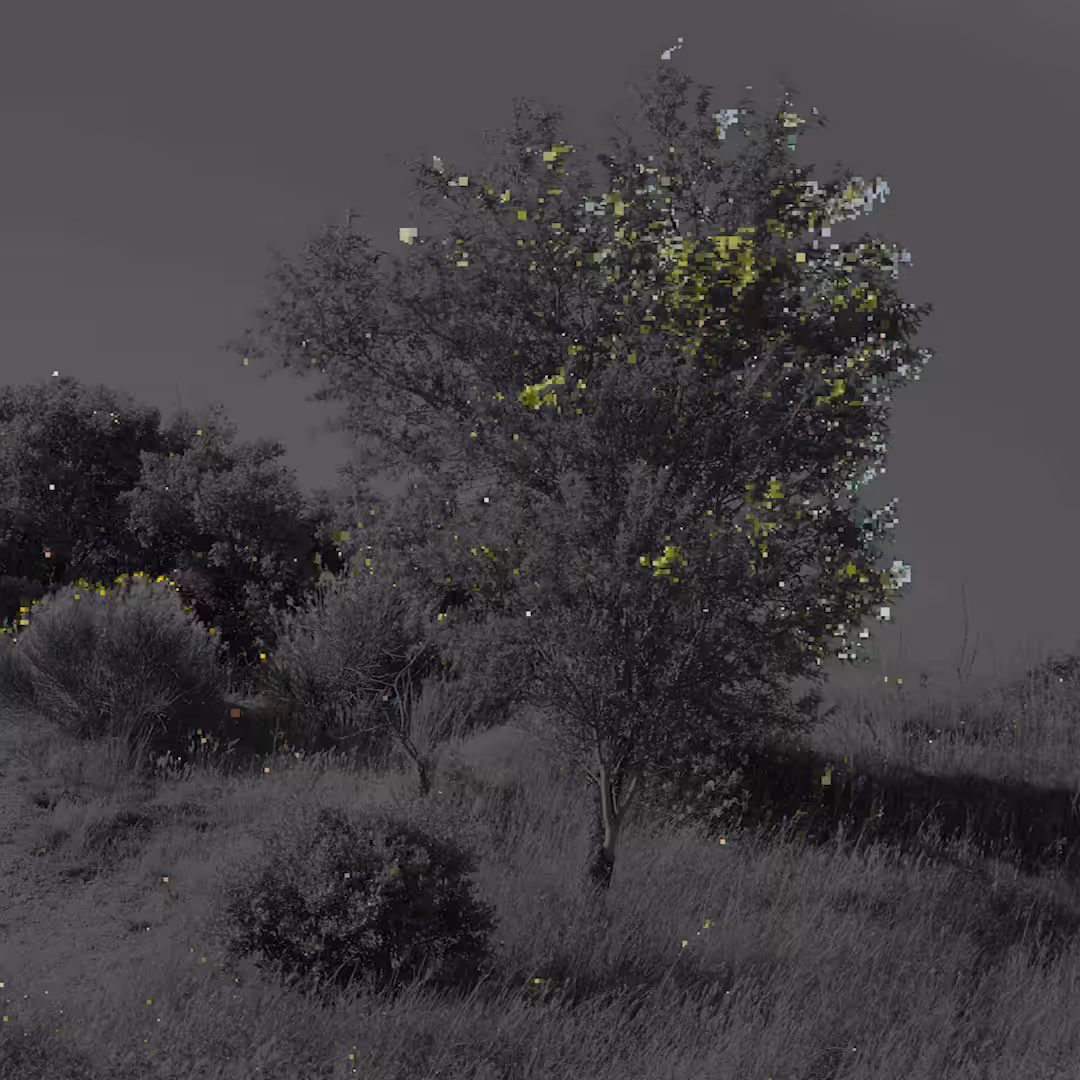 PP_F_018_1