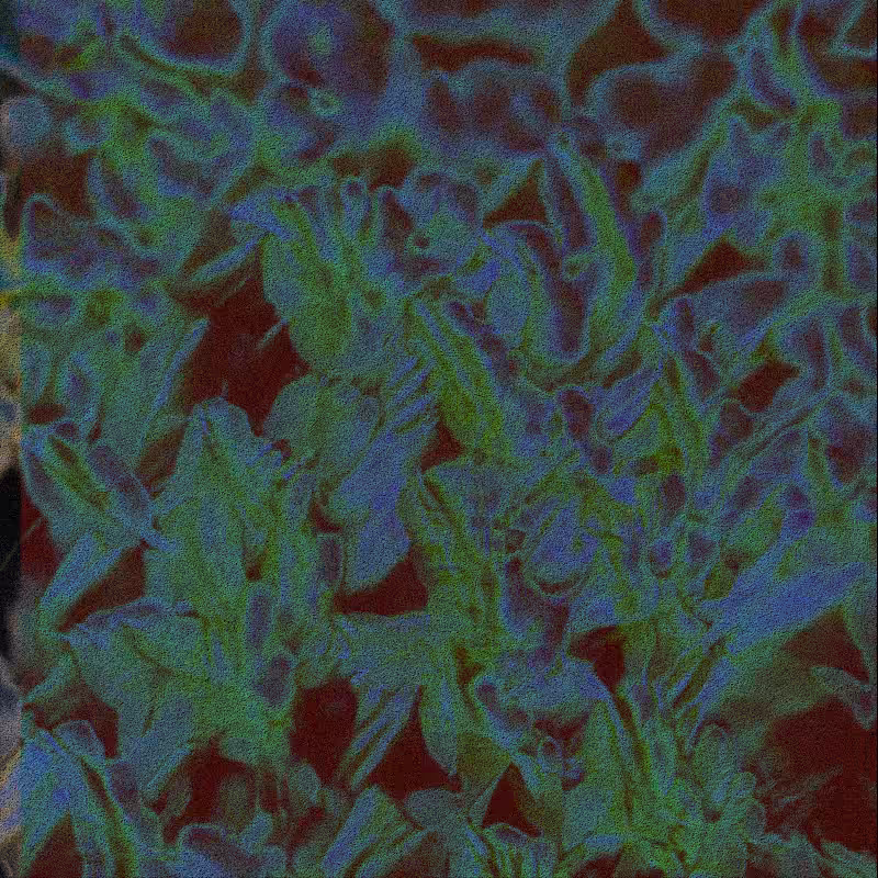 CLDCSMC #54