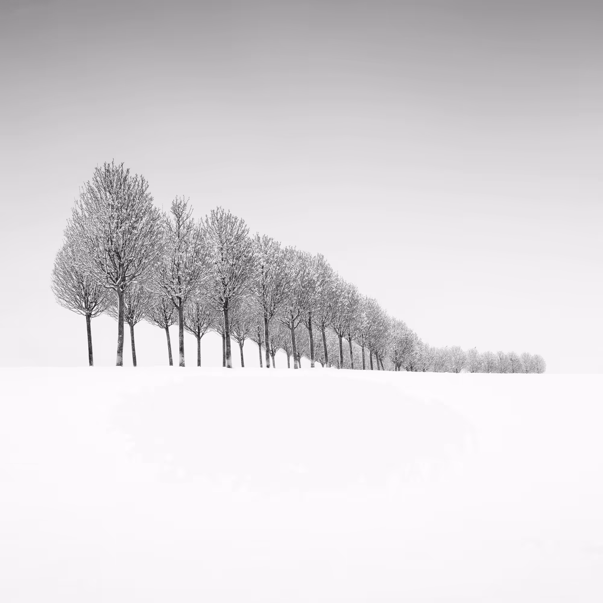 Sound of Silence #9
