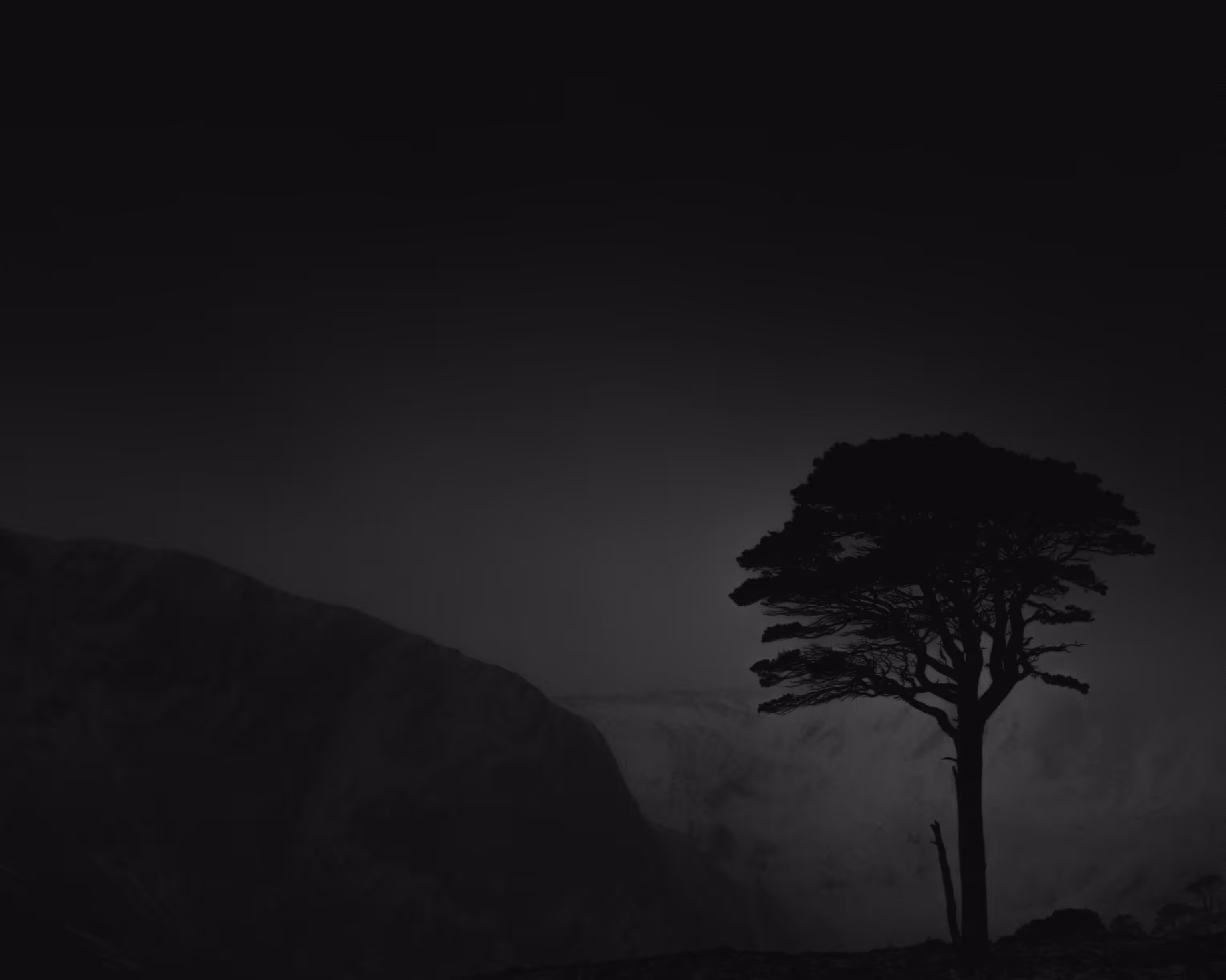Lone Pine, Glen Alladale