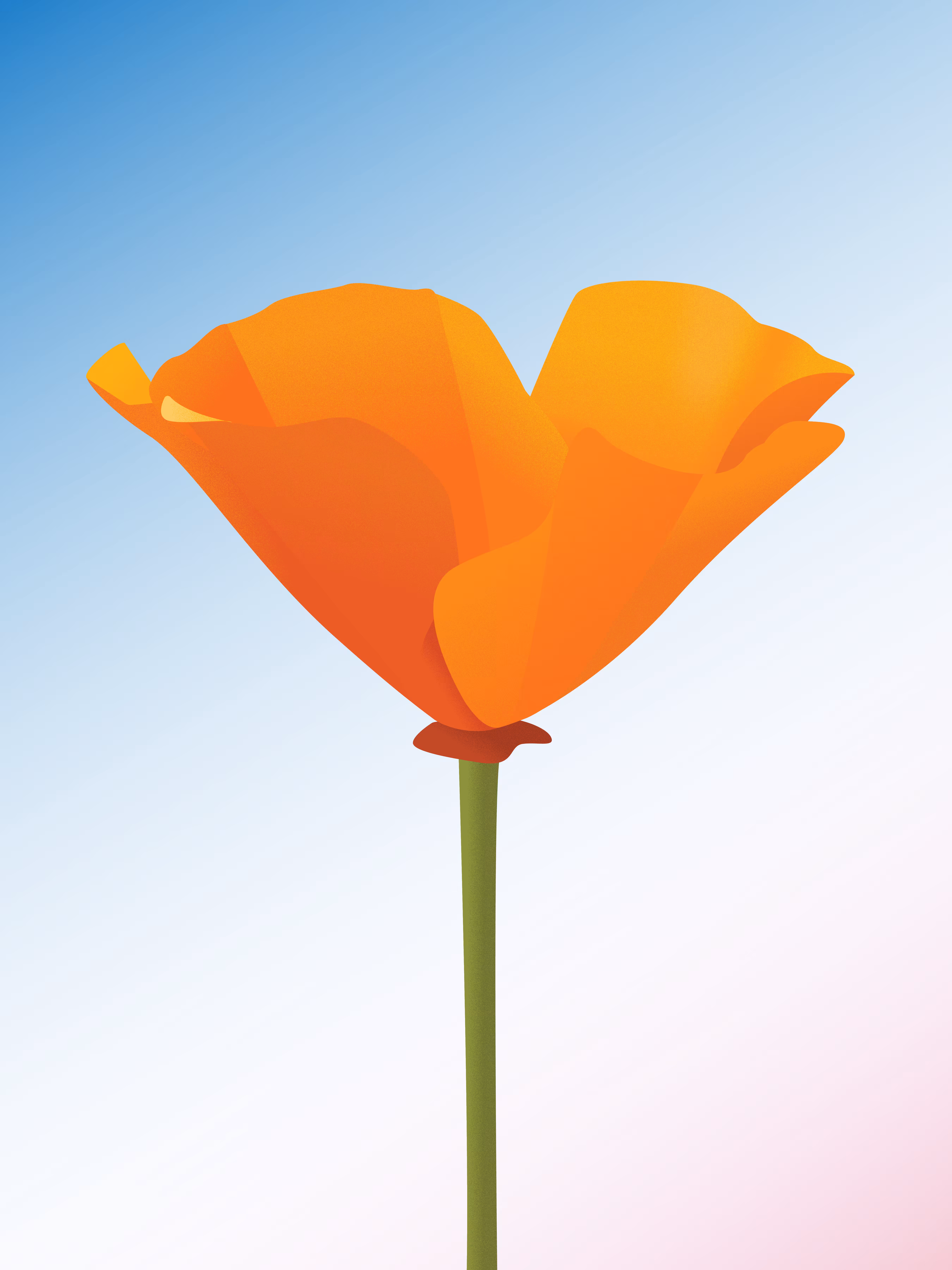 Copa de Oro