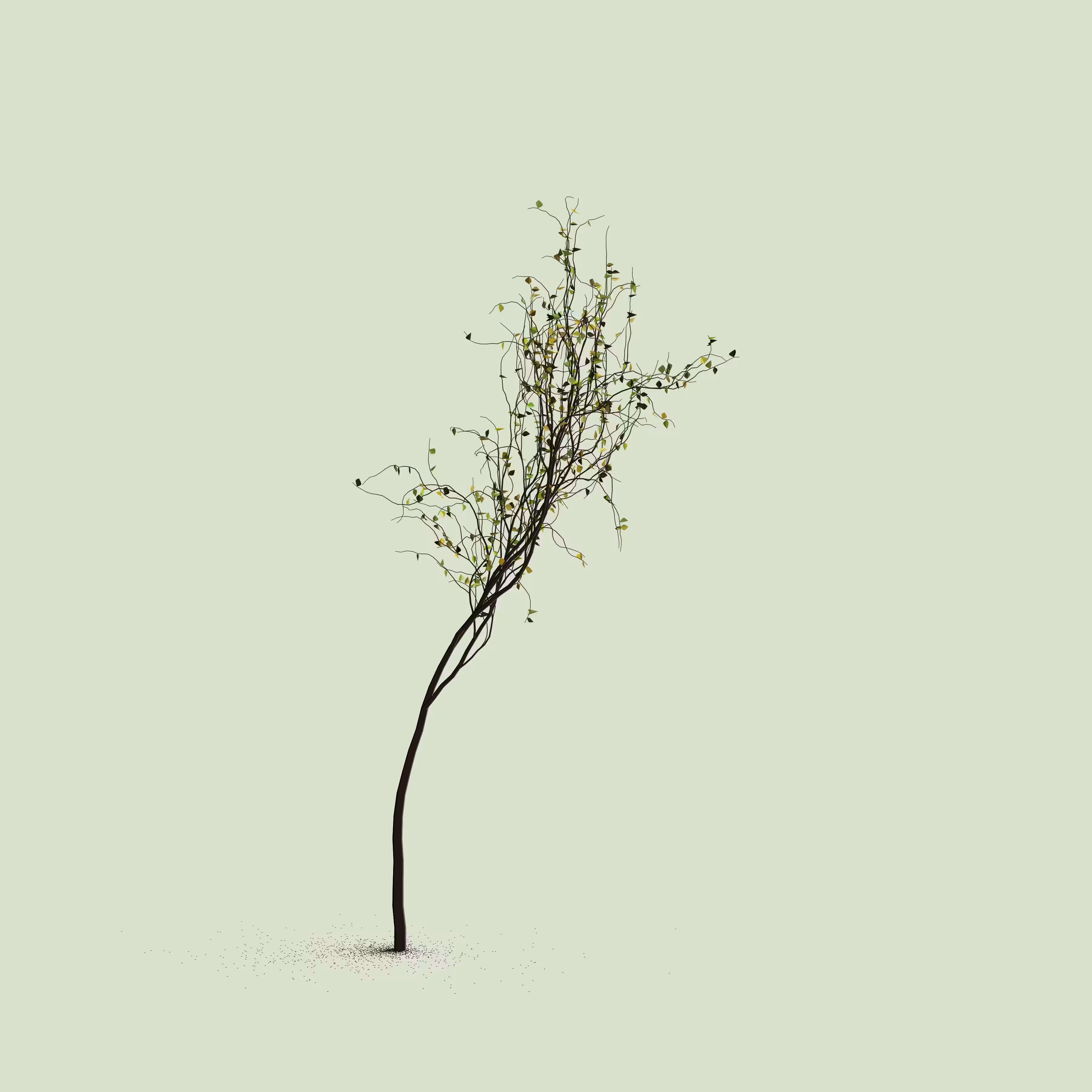 Little Trees #223