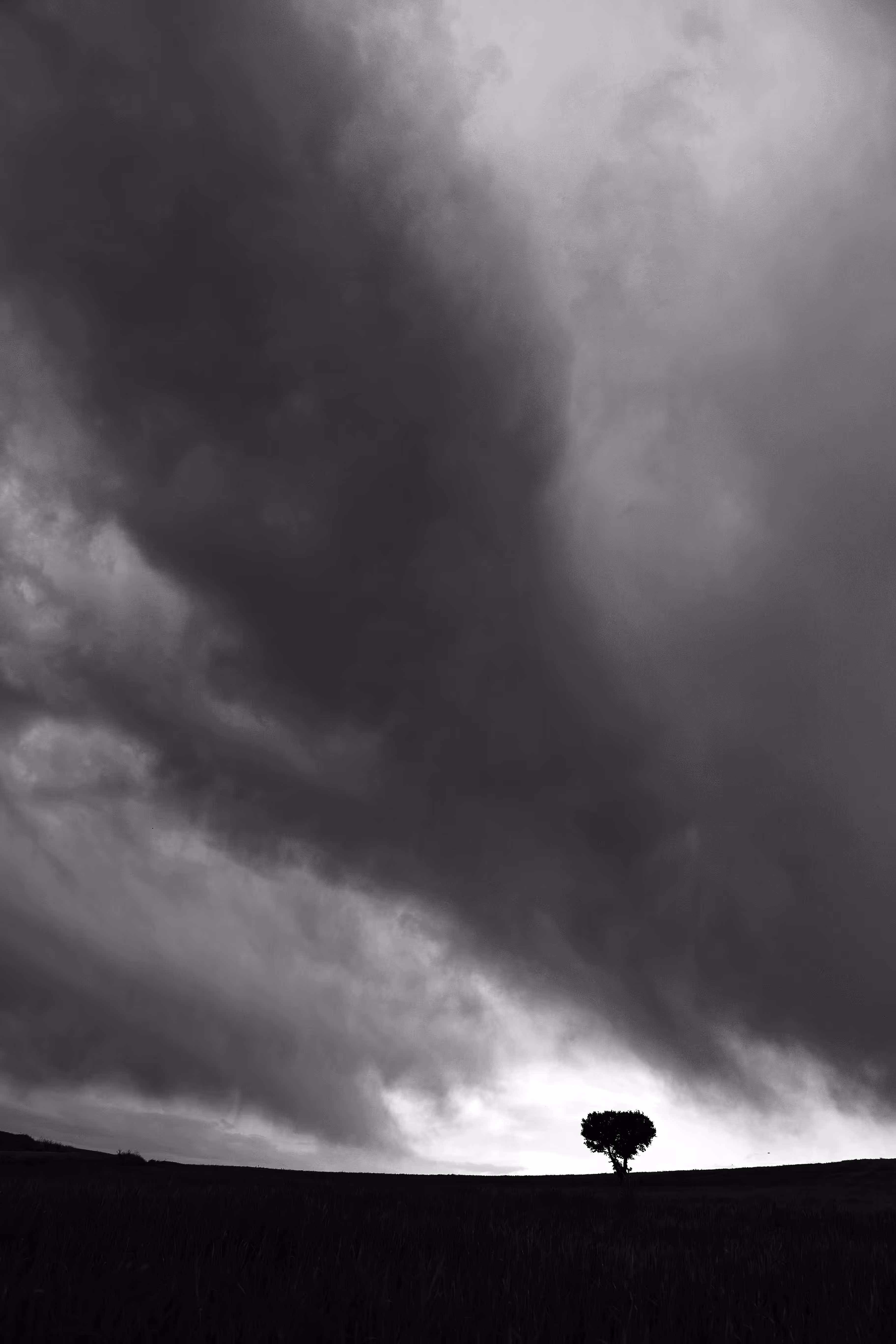 Storm