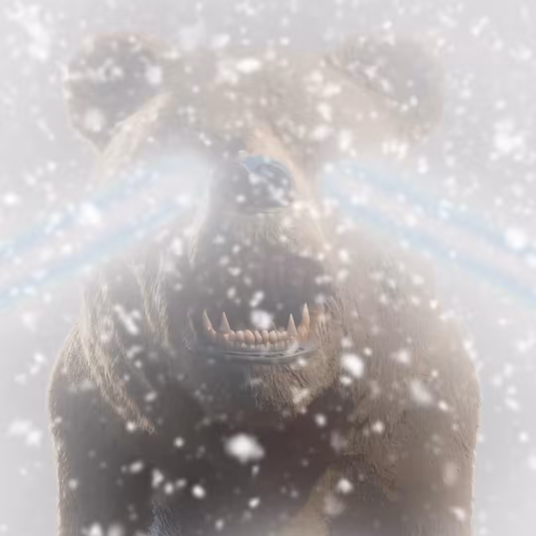 Abominable Snow Bear
