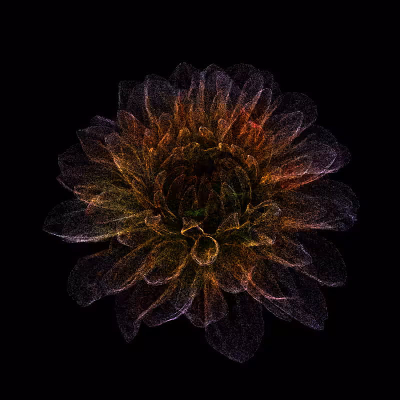 Dahlia Pinnata 30 #102