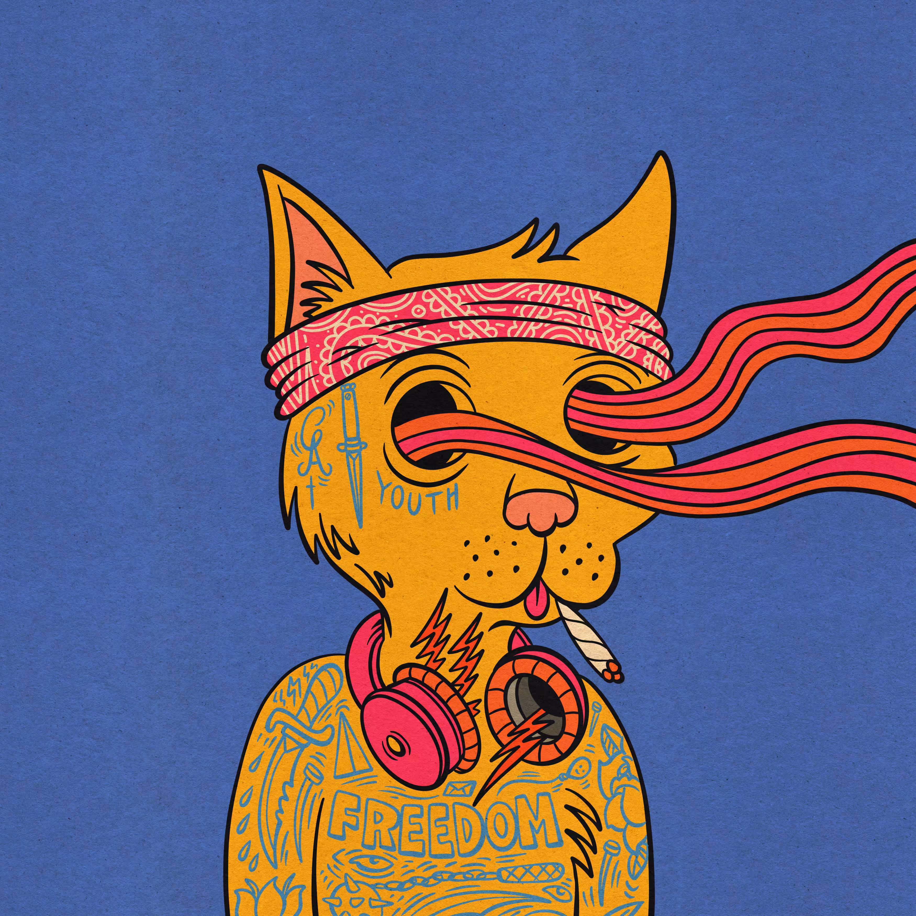 The Ray Cat