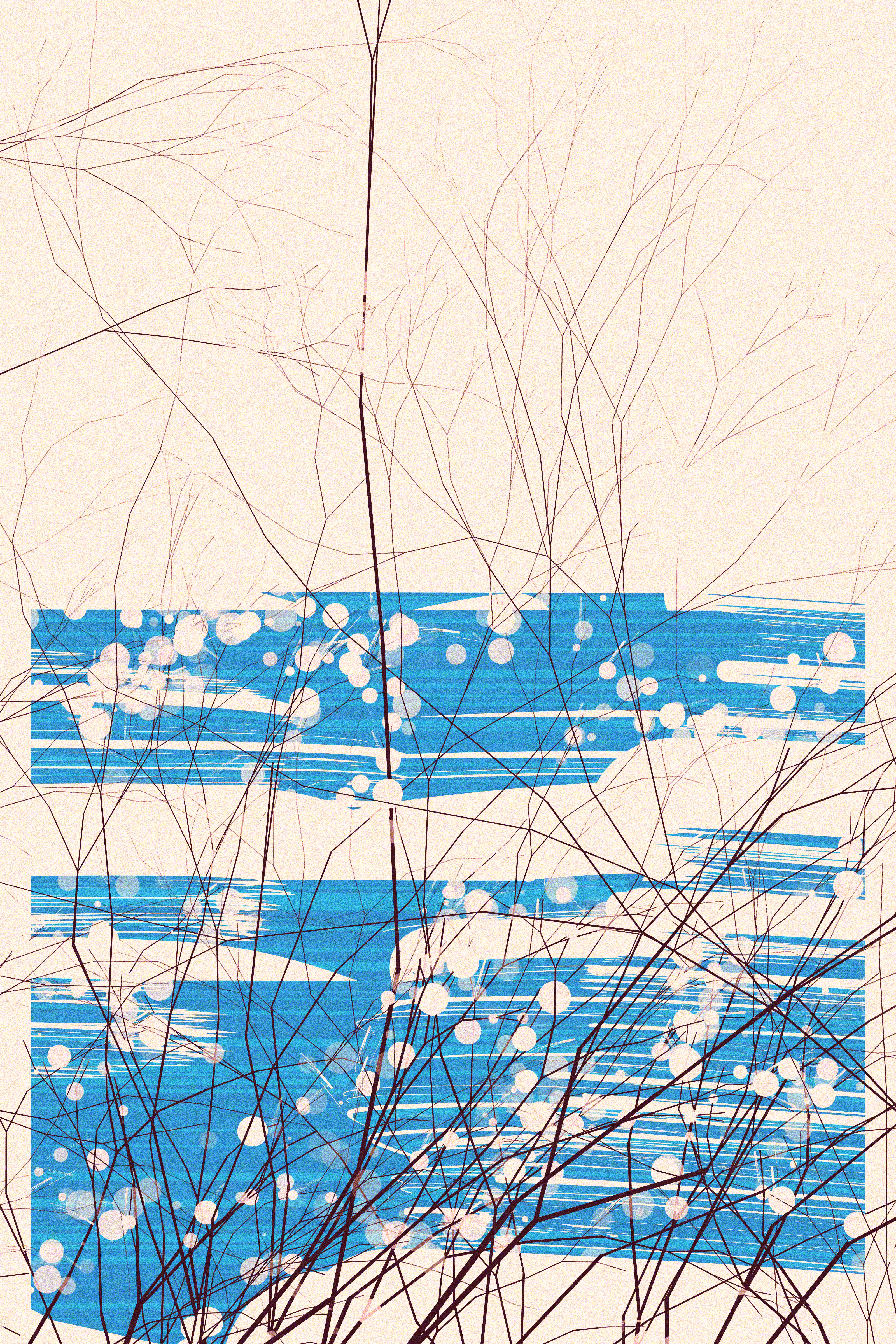The Blossoms Behind the River