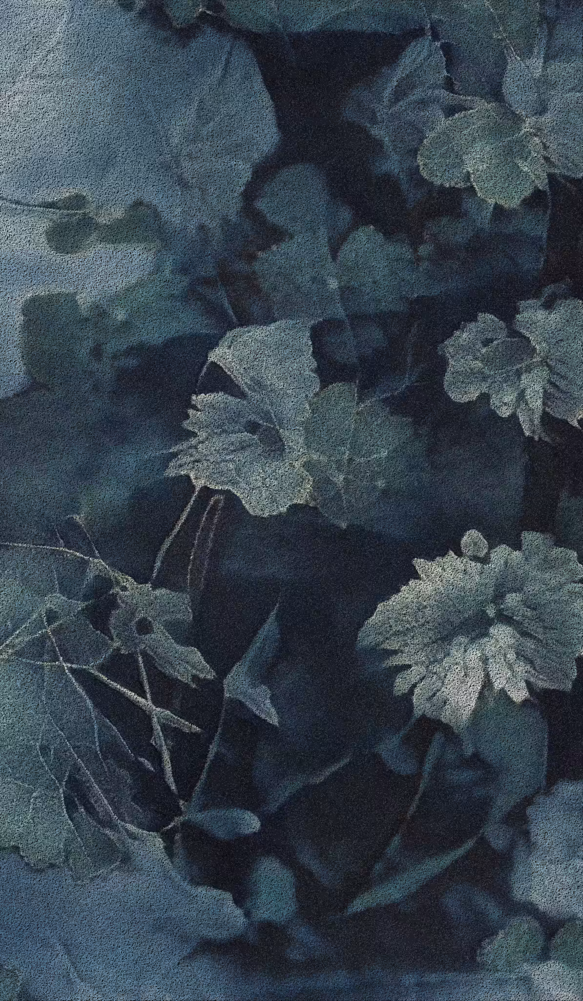 APPARATUS-VITIS: Apparatus Vitis #0