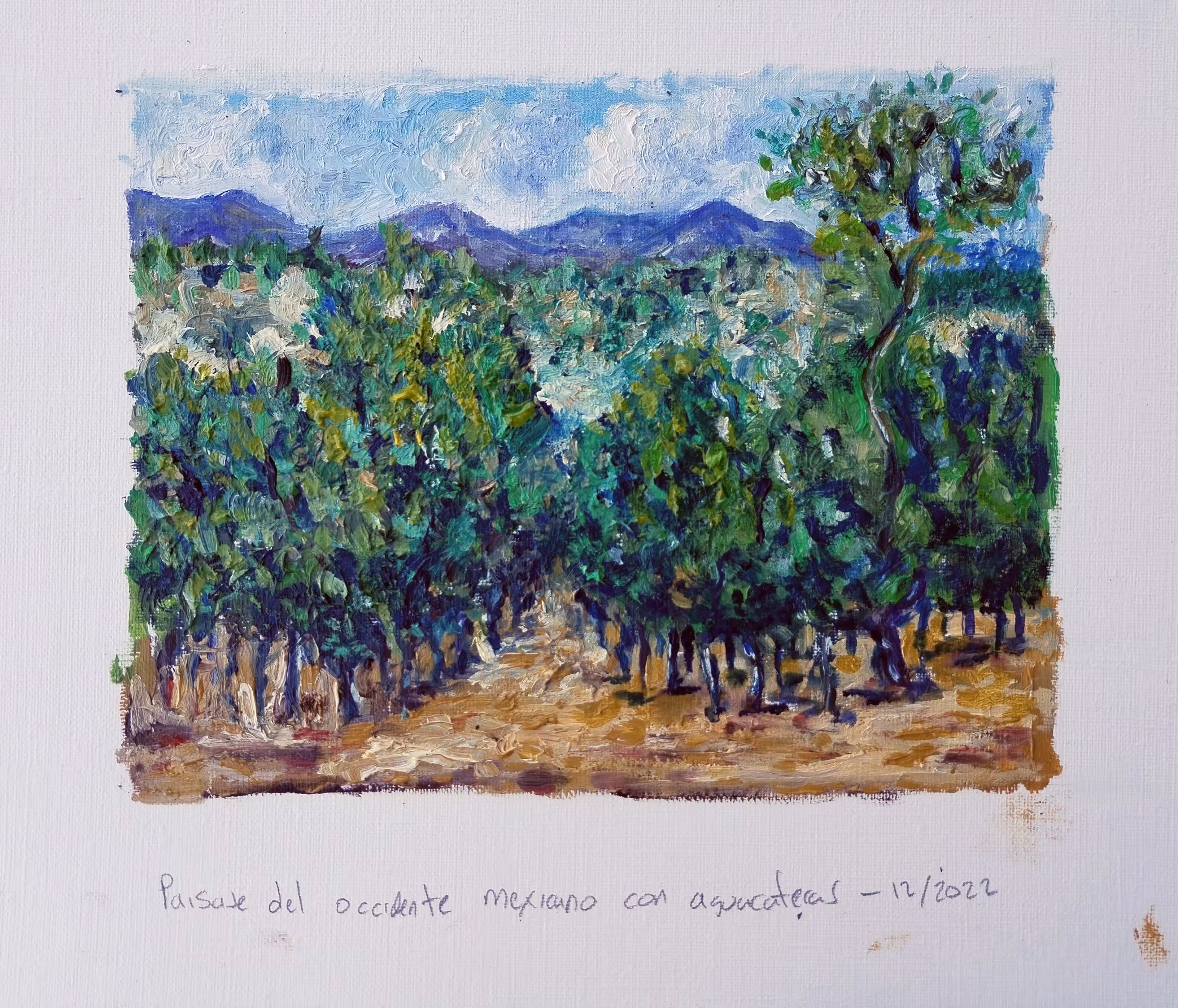 Paisaje del occidente mexicano con aguacateras / Western Mexican landscape with avocado trees
