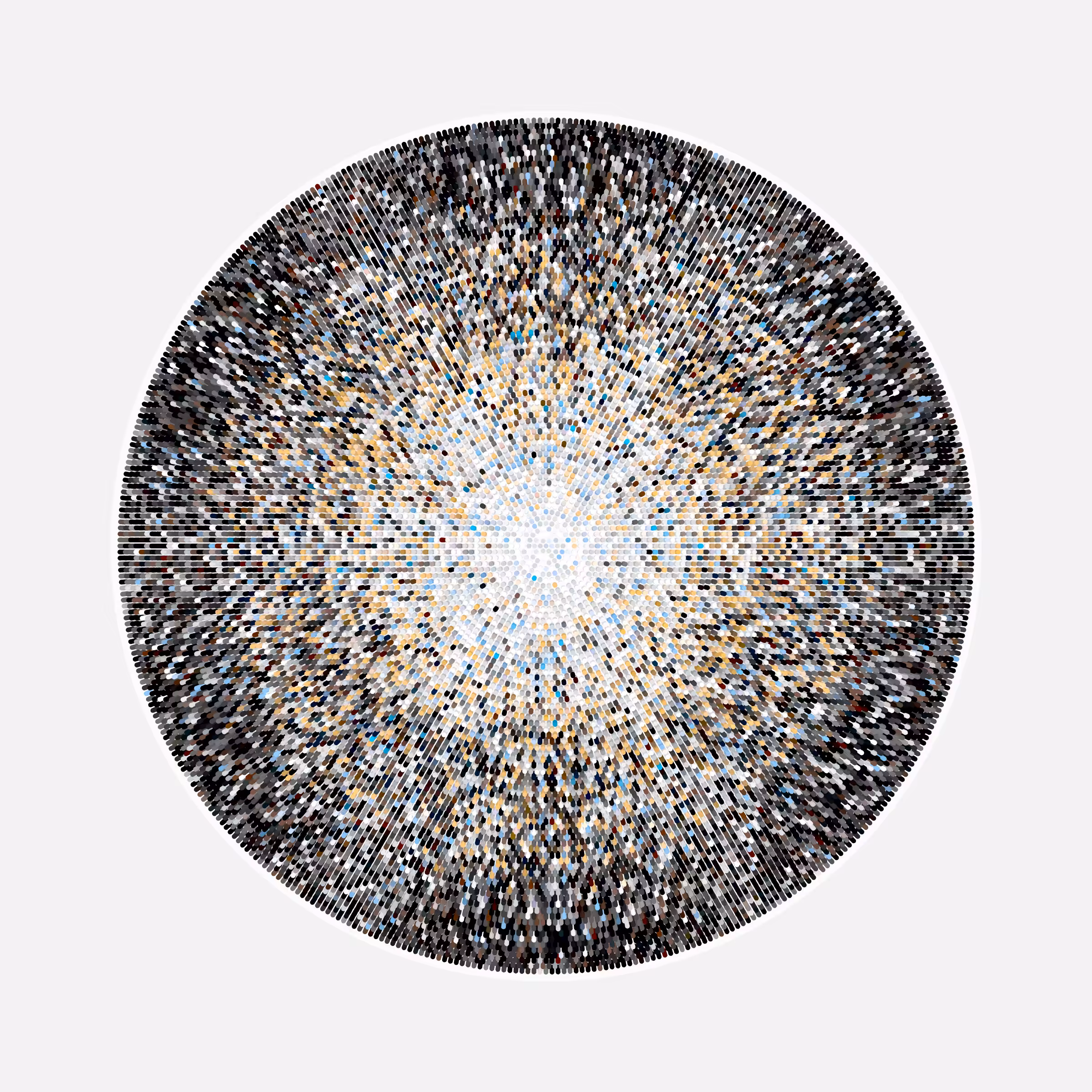 Transitions #1228