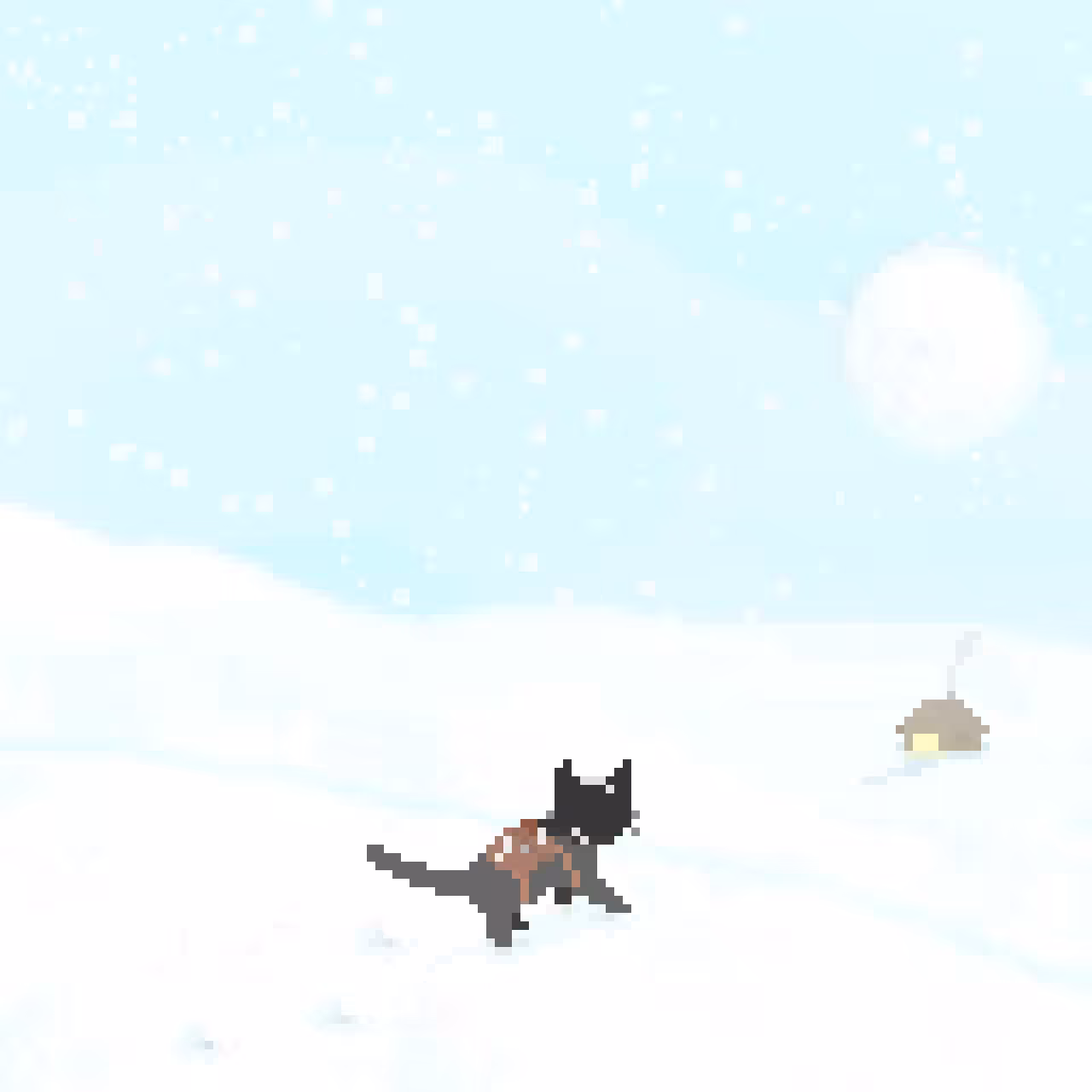 Snow Field