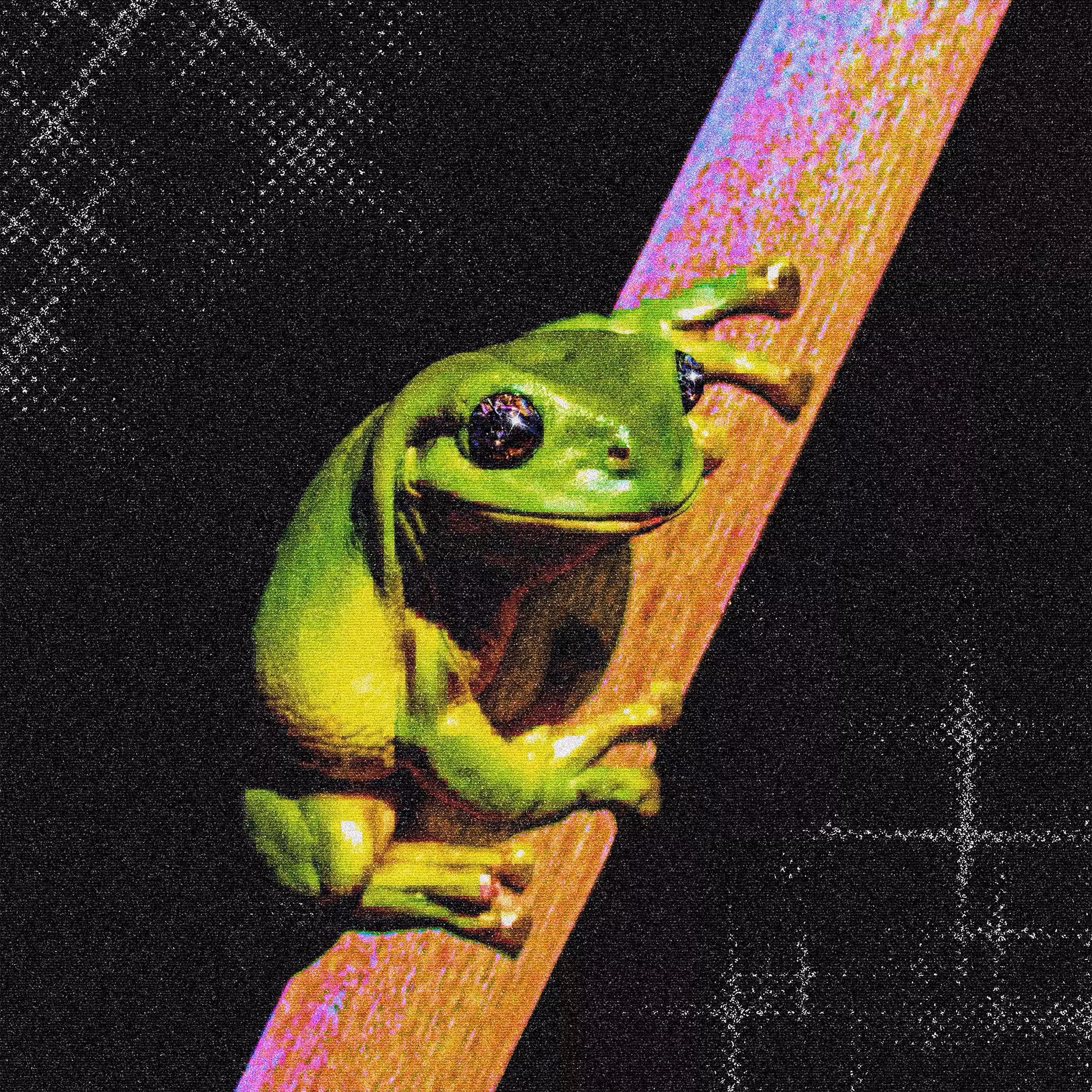 fr0̷g_007