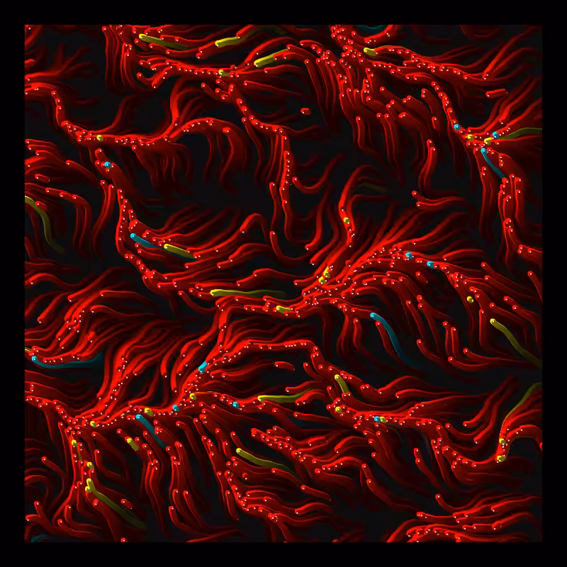 Worms Migration #5