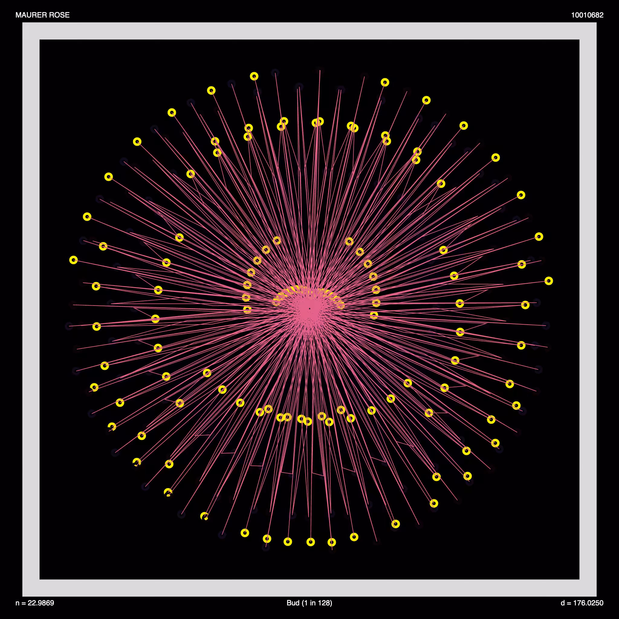 Maurer Rose: Daisy Chain