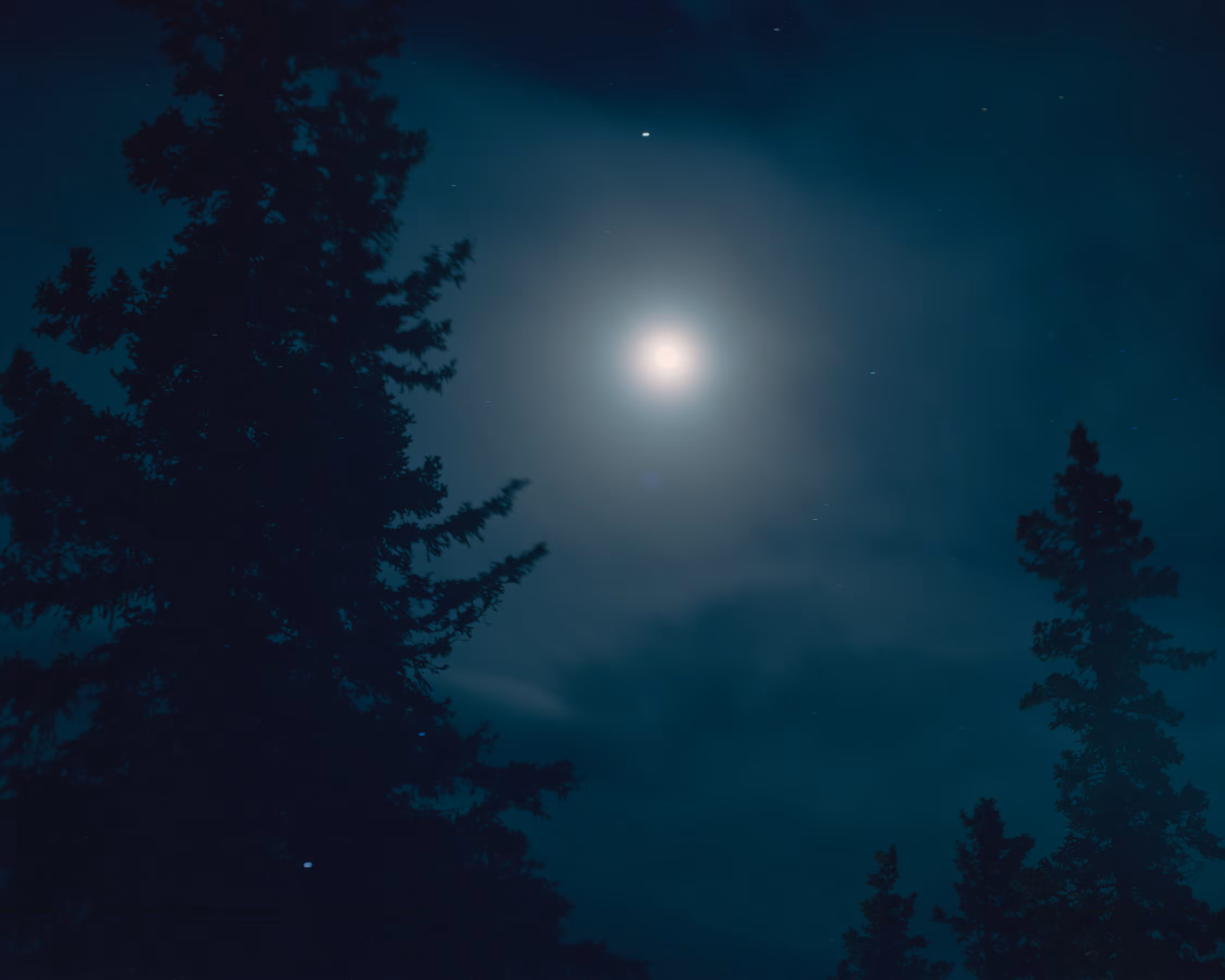 Polaris - Polaris 41
