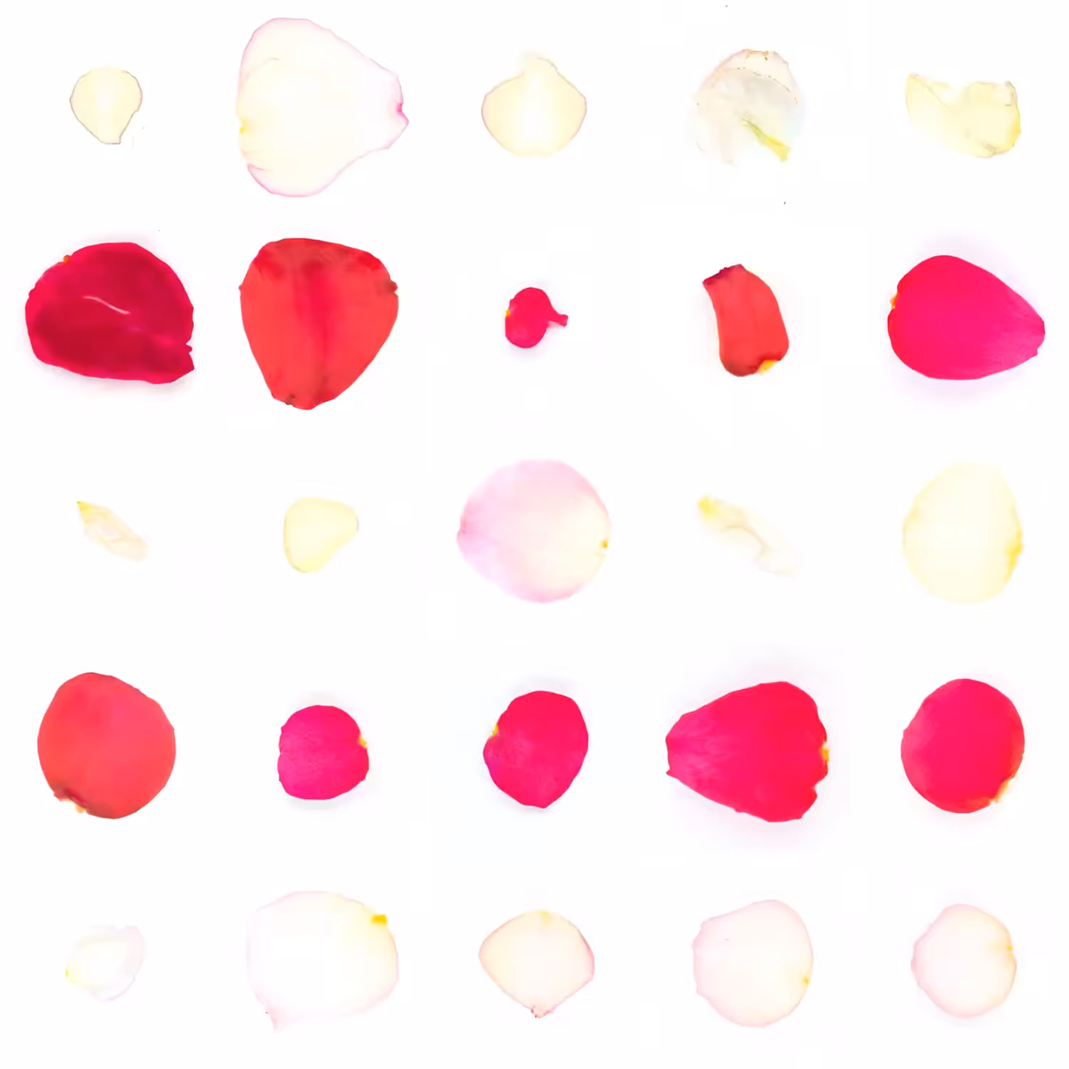 Infinite Petals 5x5#20443