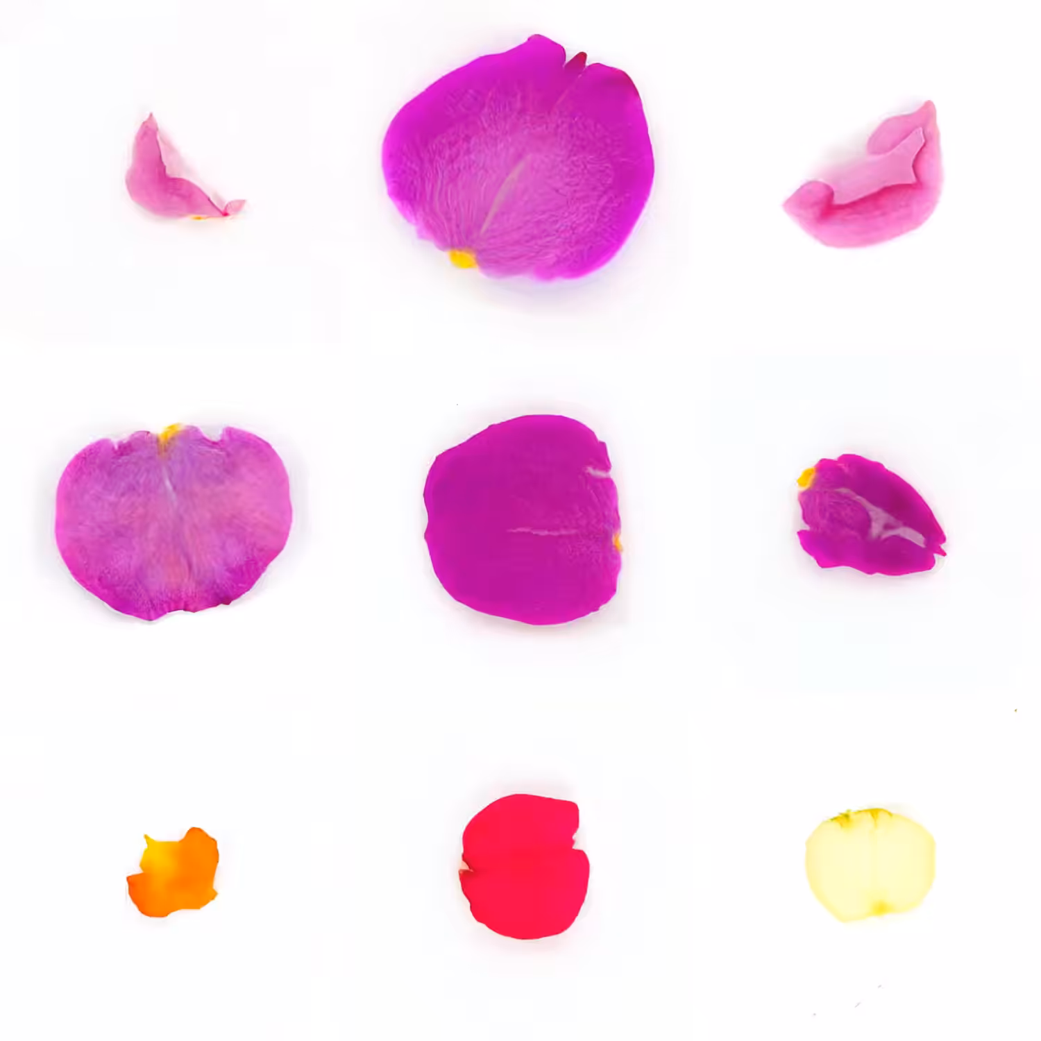 Infinite Petals 3x3#20021