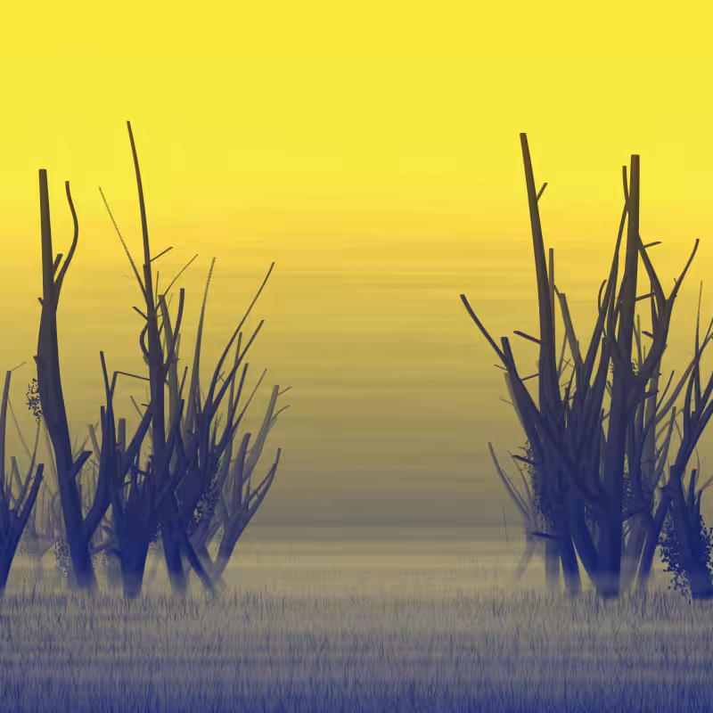 Morning Frost #8