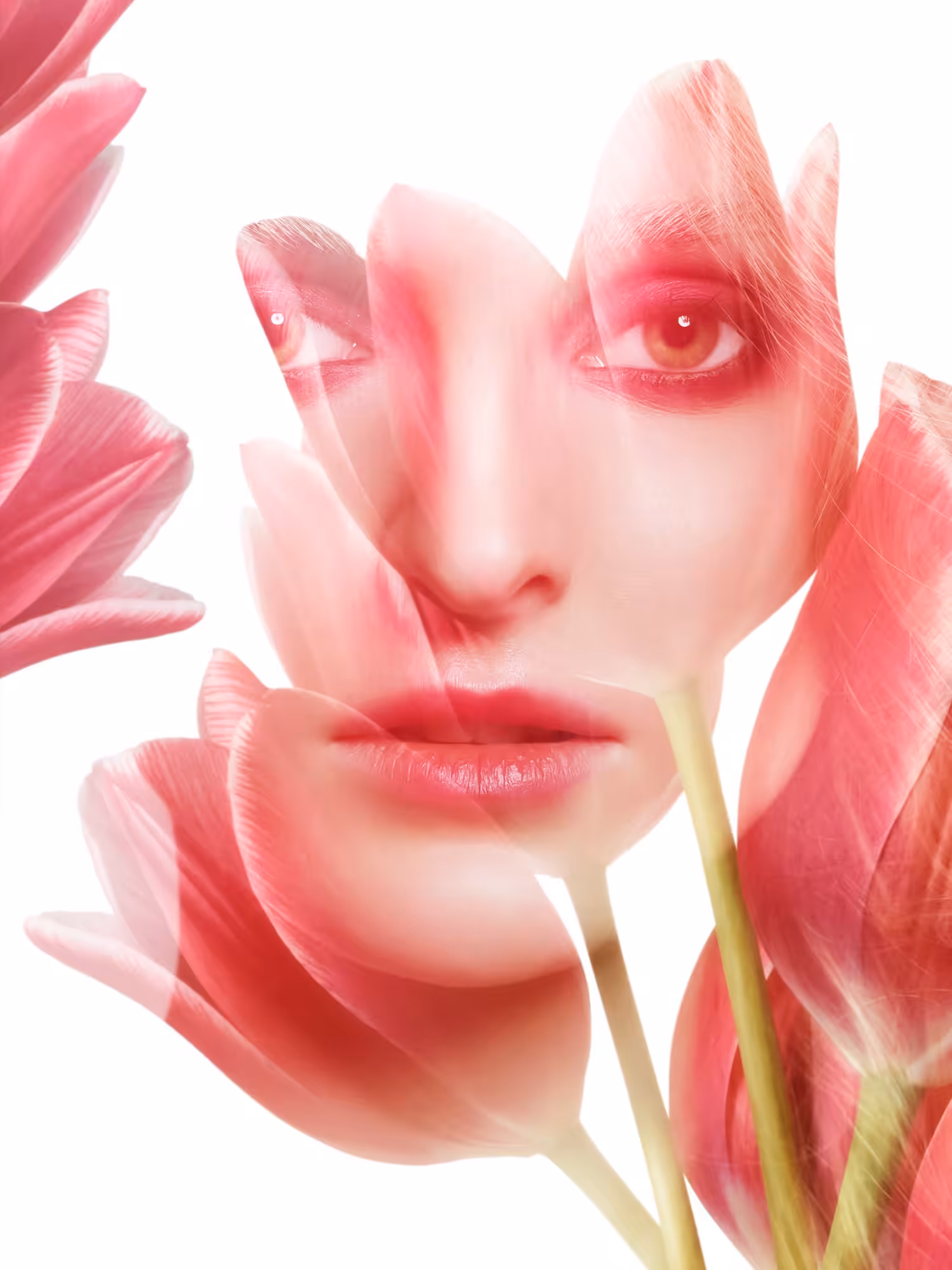 Fade to Flowers 02